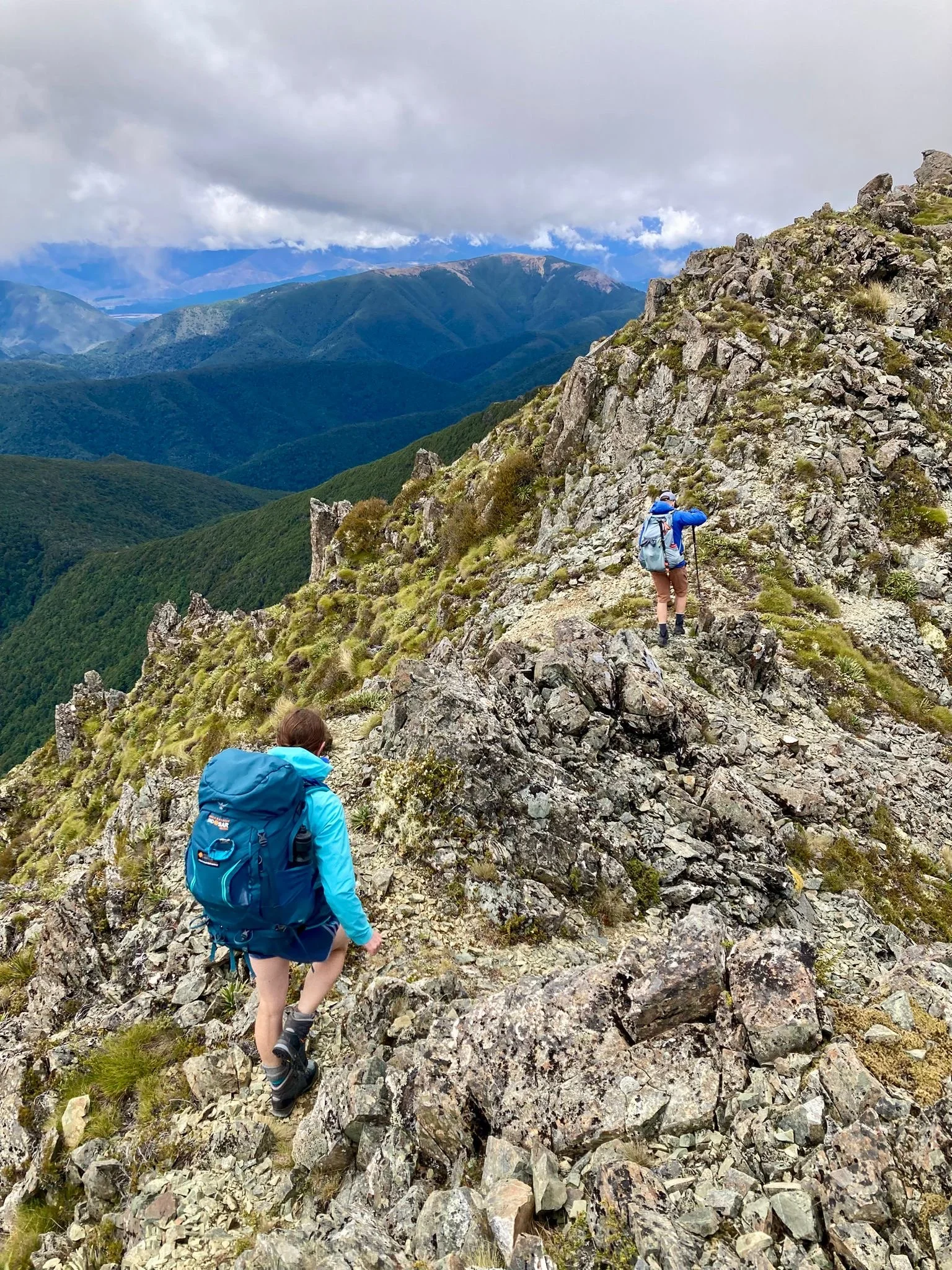 Hiking the Red Hills, Richmond Forest Park