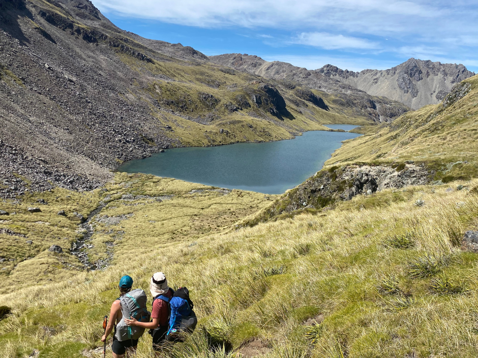HIKING IN NELSON LAKES NEW ZEALAND