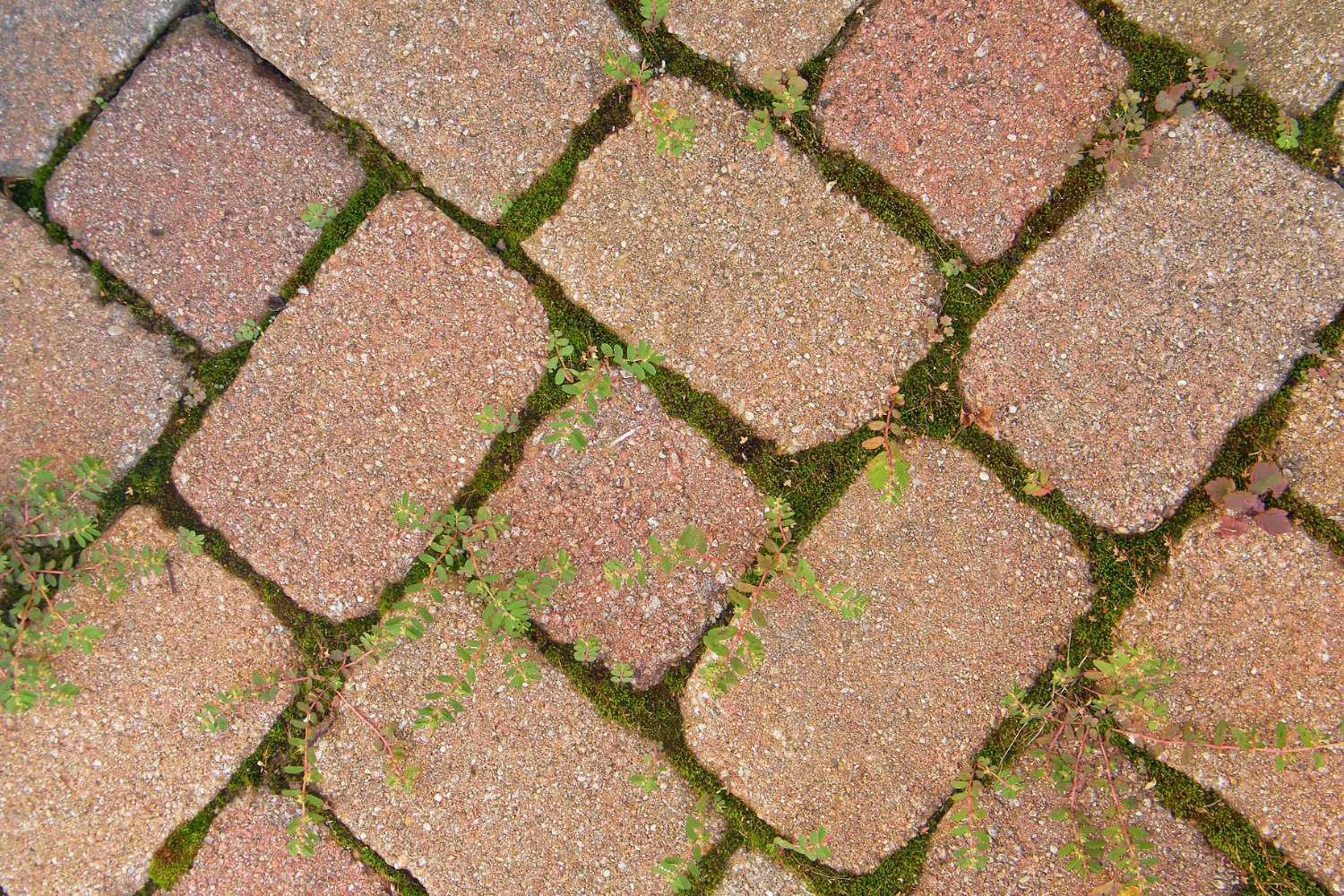 How Proper Edge Restraints Prevent Brick Pavers From Shifting Over Time