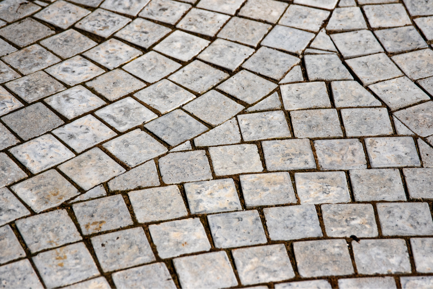 Brick Paver Repair Checklist: What Pros Look For