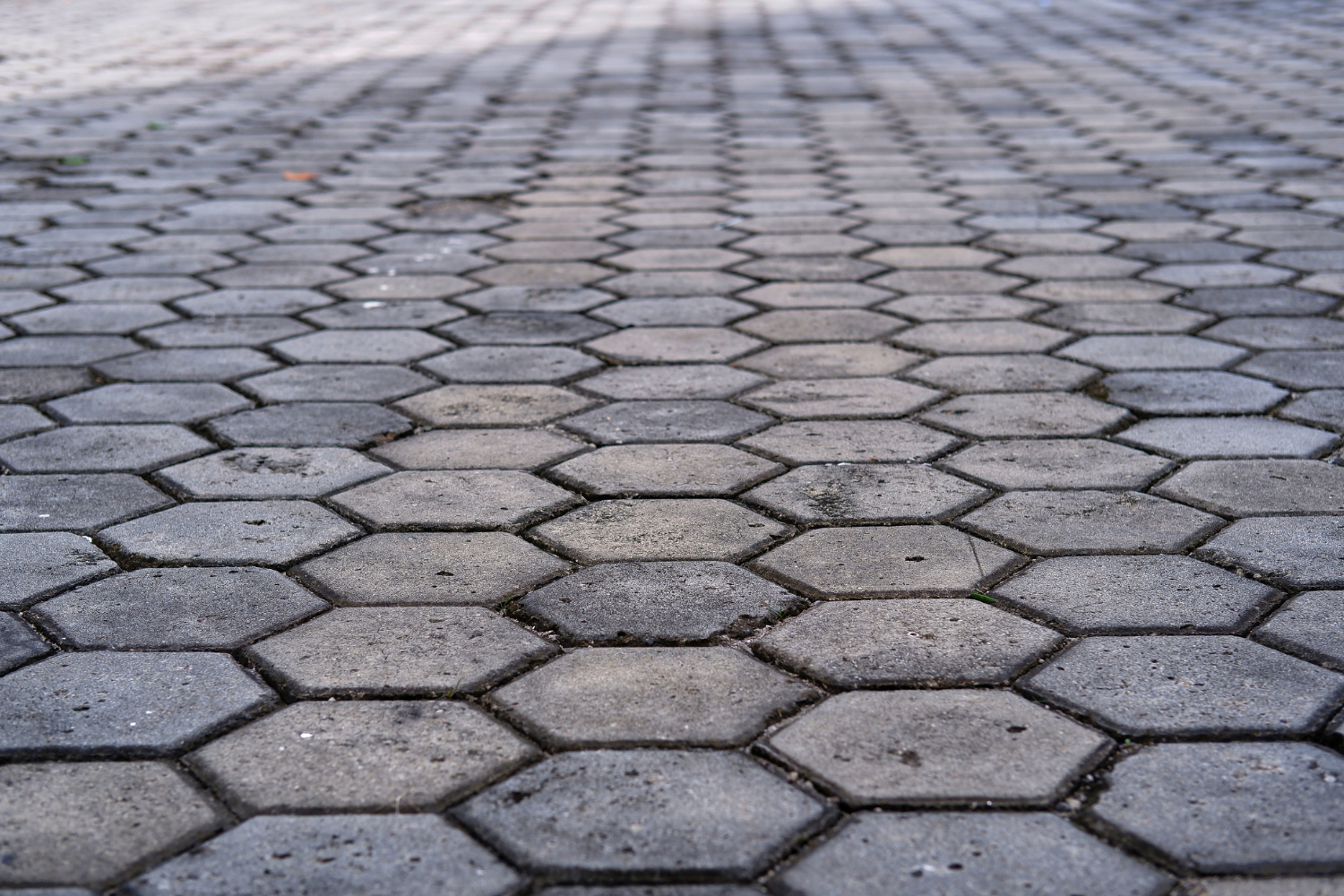 Comparing Polymeric Sand vs. Traditional Joint Sand
