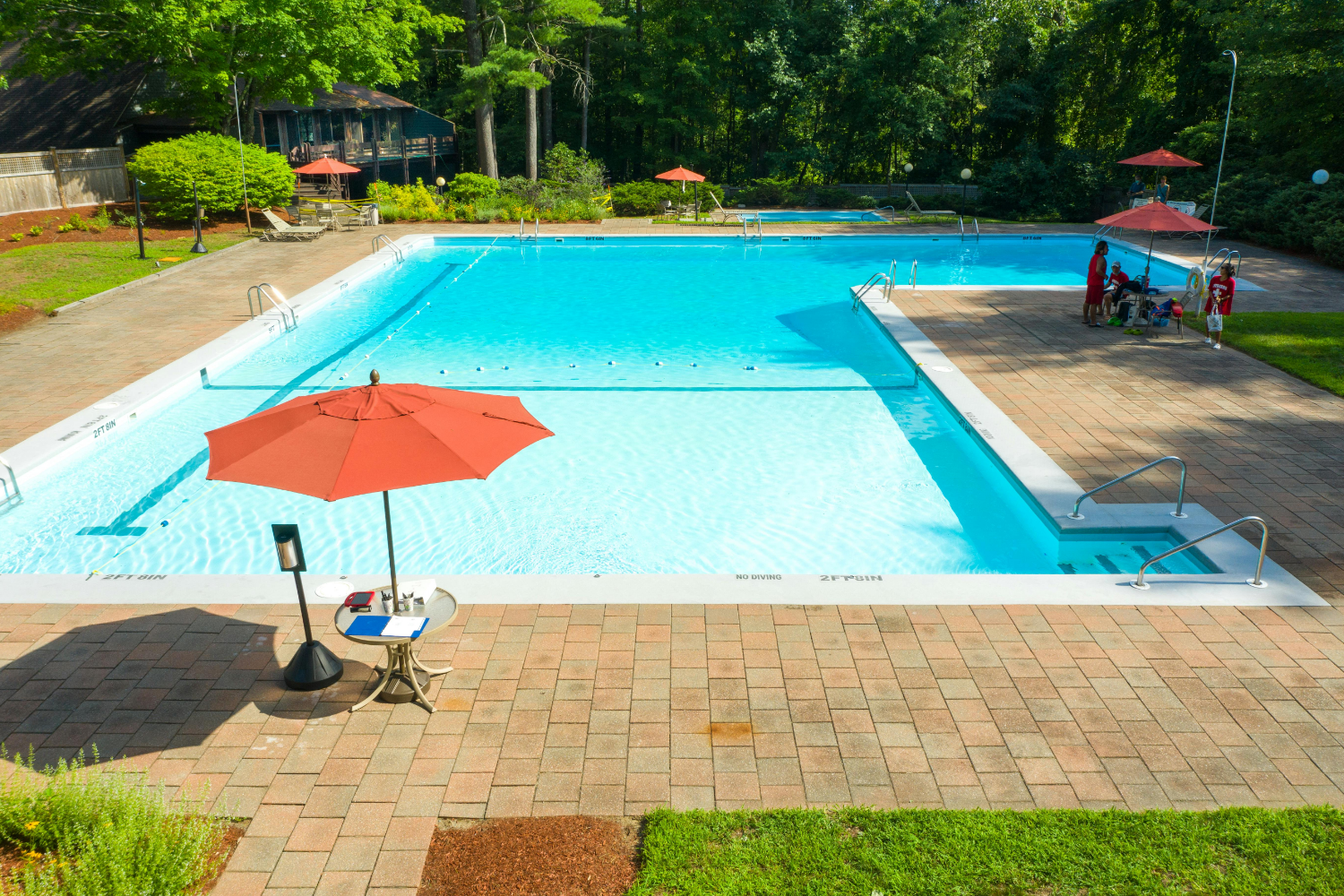 Eco-Friendly Ways to Stop Weeds in Pool Paver Joints