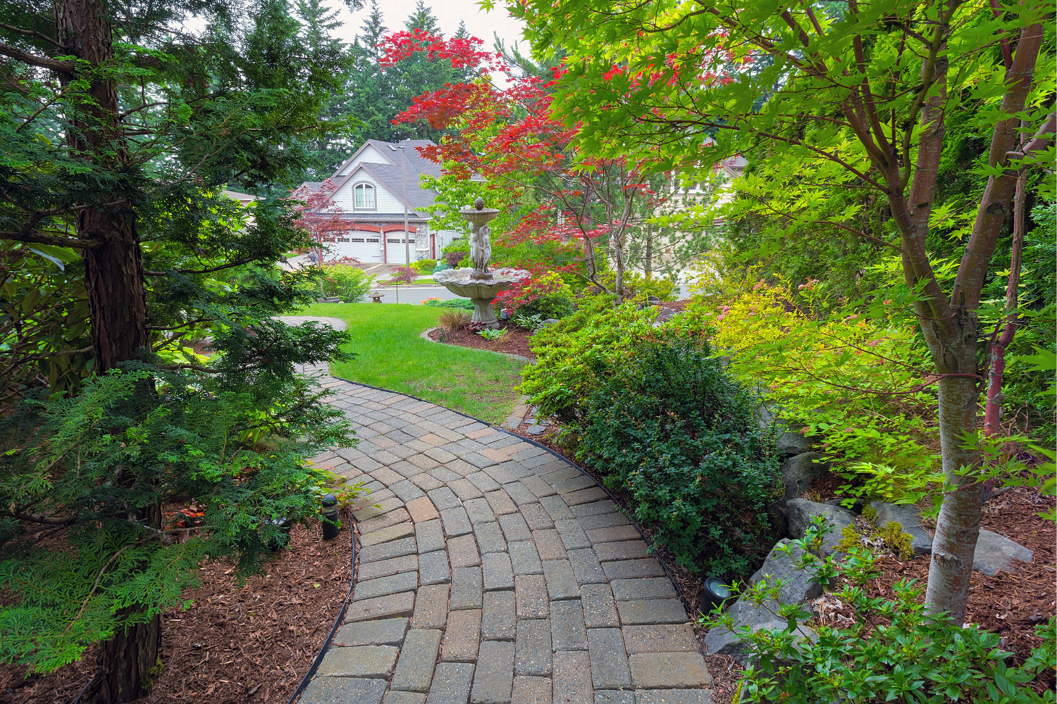 How Tree Roots Silently Damage Brick Paver Driveways and Walkways