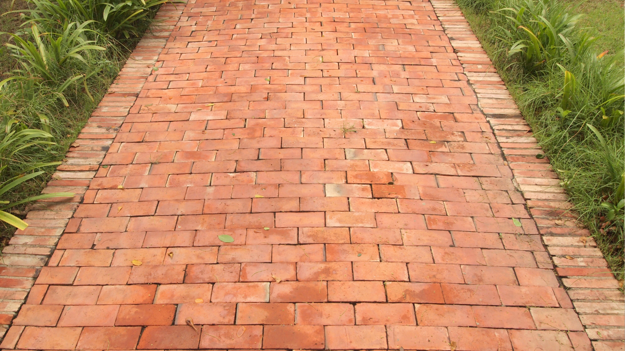 Brick paver walkway heaving due to tree roots growing underneath.