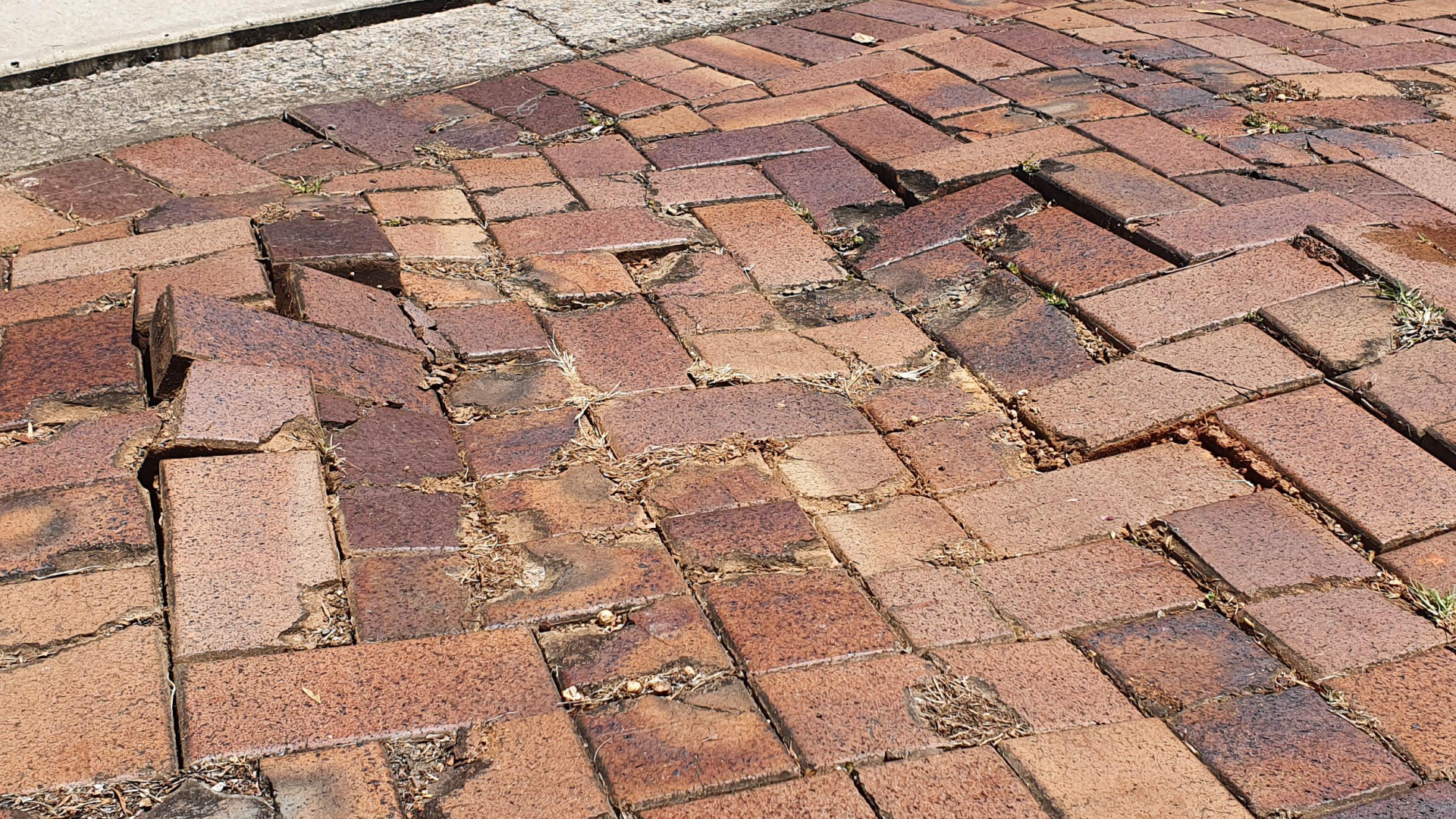Brick pavers cracking and sinking on a driveway