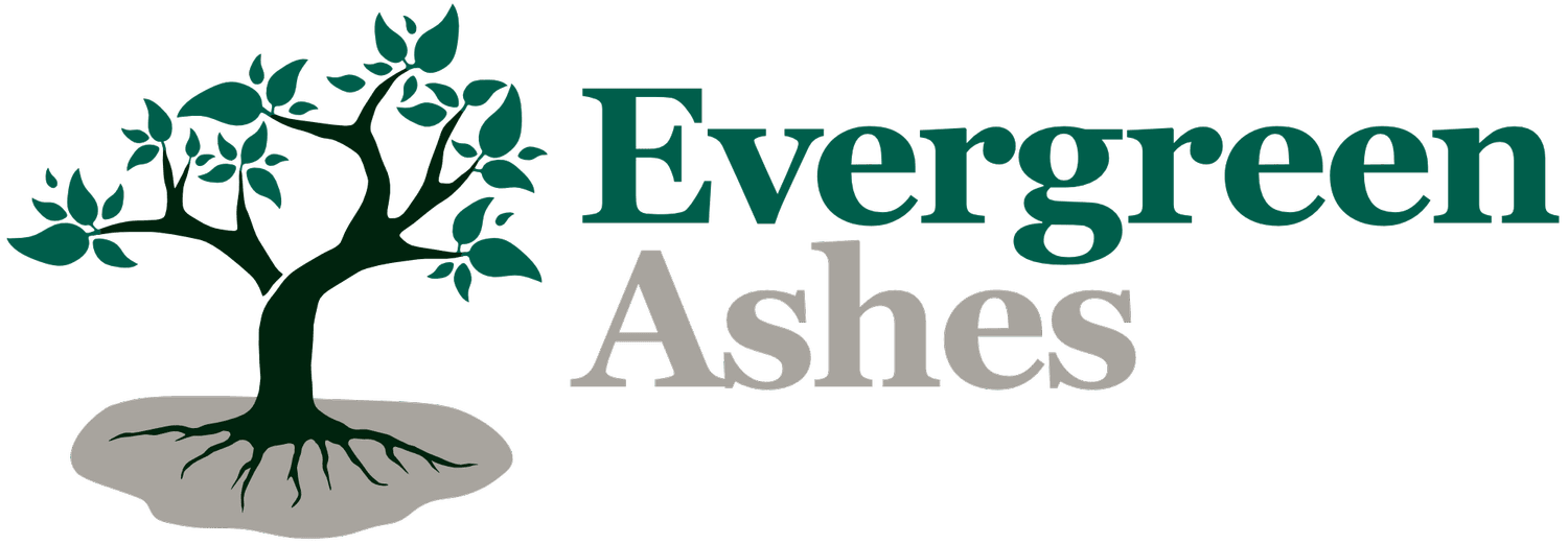 Evergreen Ashes