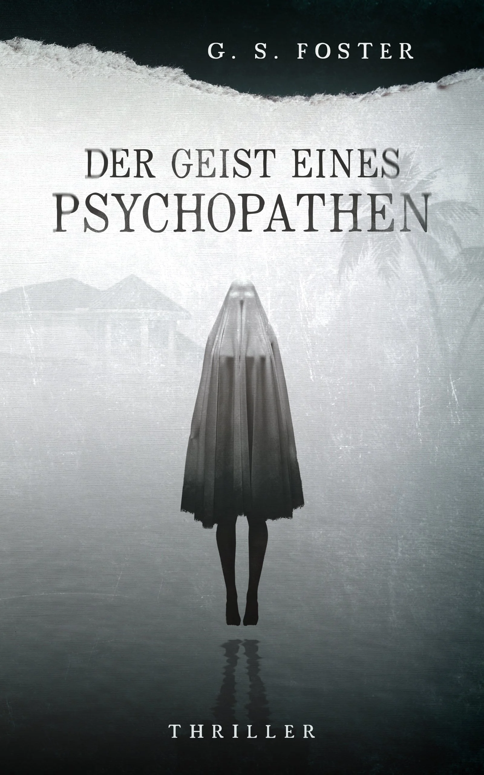 Psychothriller, haunted house, Geisterhaus, Geistergeschichte, Horror-Thriller, G. S. Foster, Penny Archer, Horrorgeschichte, Geisterjagd