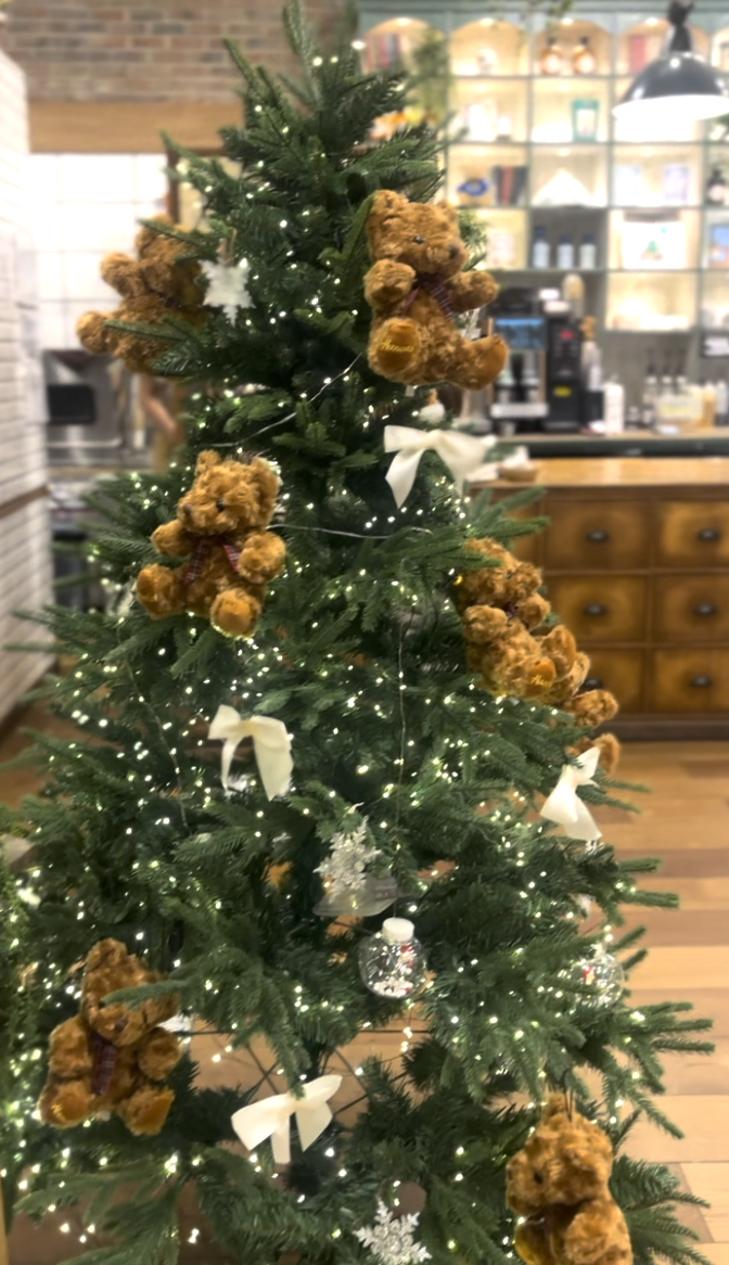 Capture d’écran 2025-10-16 à 11.35.46.png