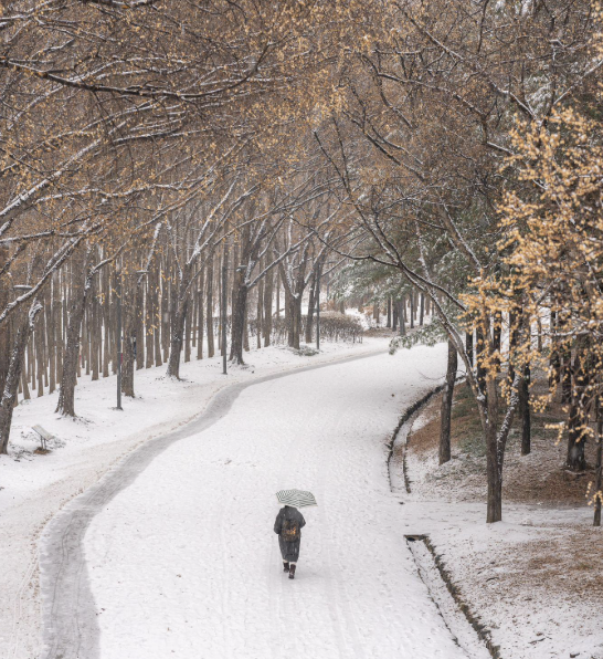 Capture d’écran 2025-10-17 à 09.14.22.png