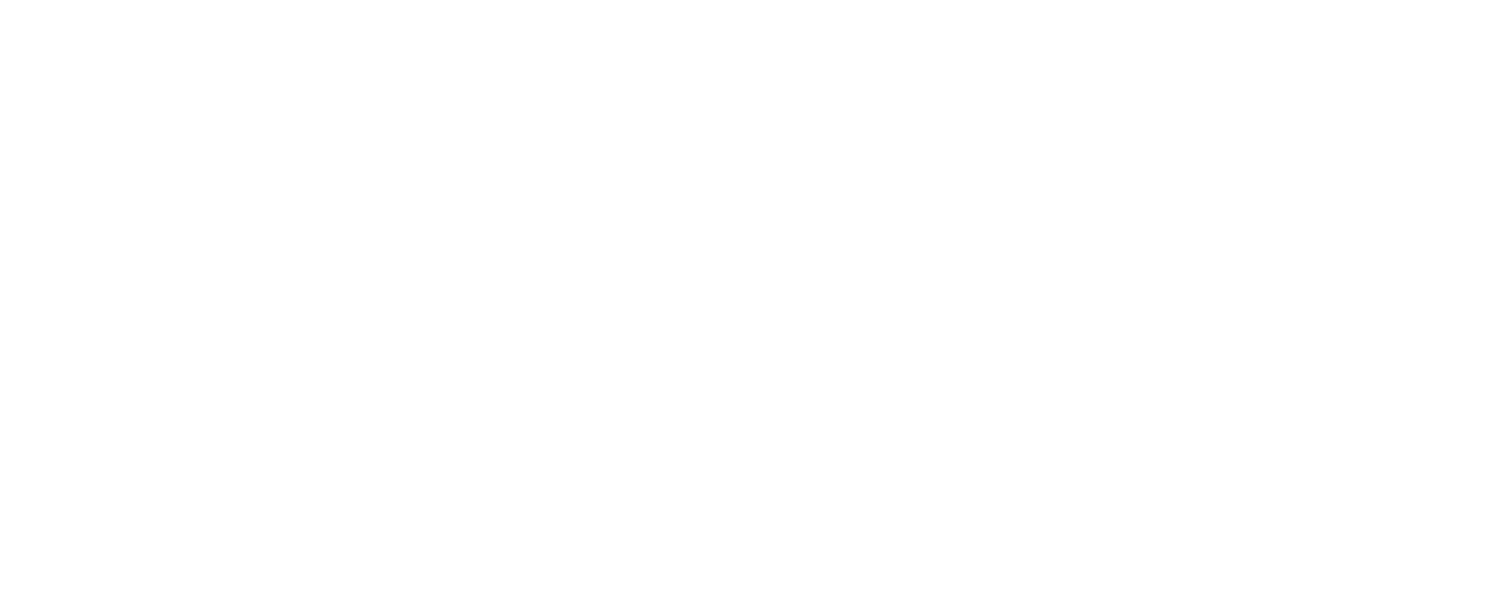 DSO Schoonmaakonderhoud