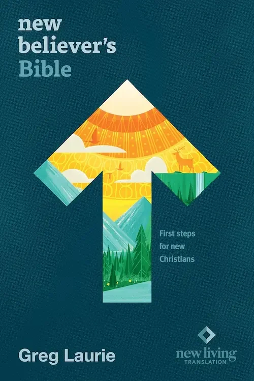 Cover of the book 'New Believer's Bible' by Greg Laurie, featuring a stylized arrow made of colorful mountain and sun illustrations, with the subtitle 'First steps for new Christians'.