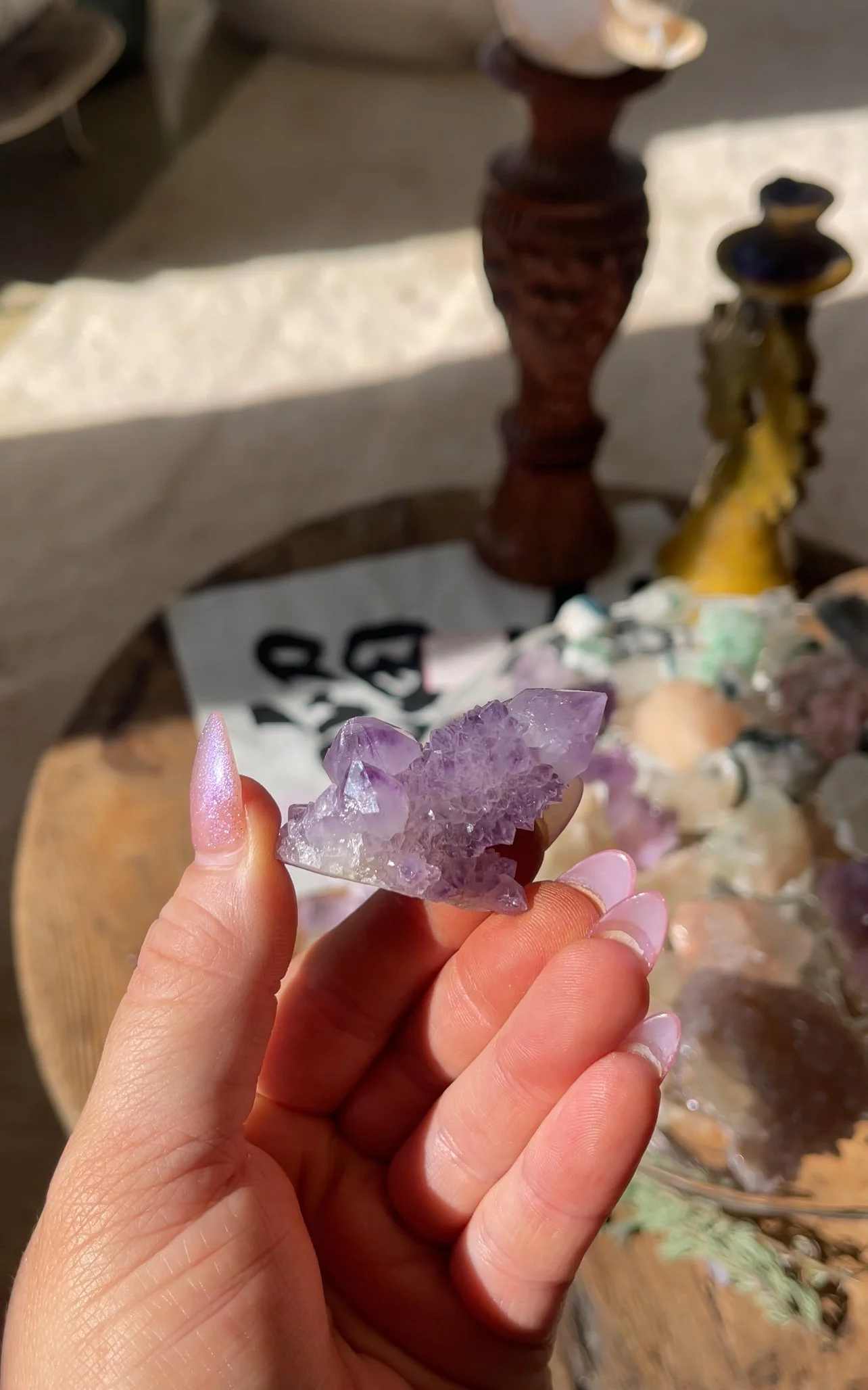 IMG_7822.jpeg