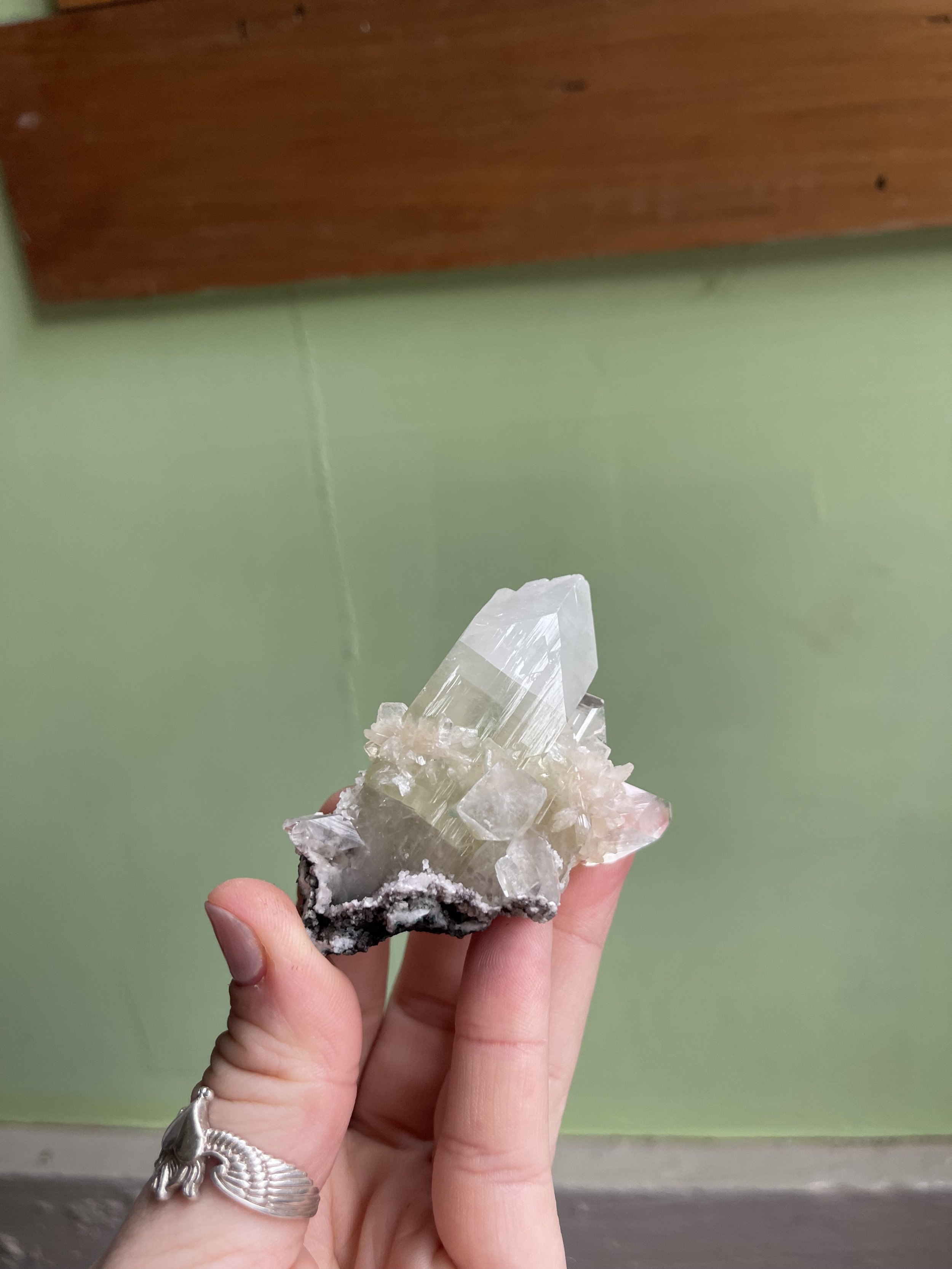 IMG_9056.jpeg