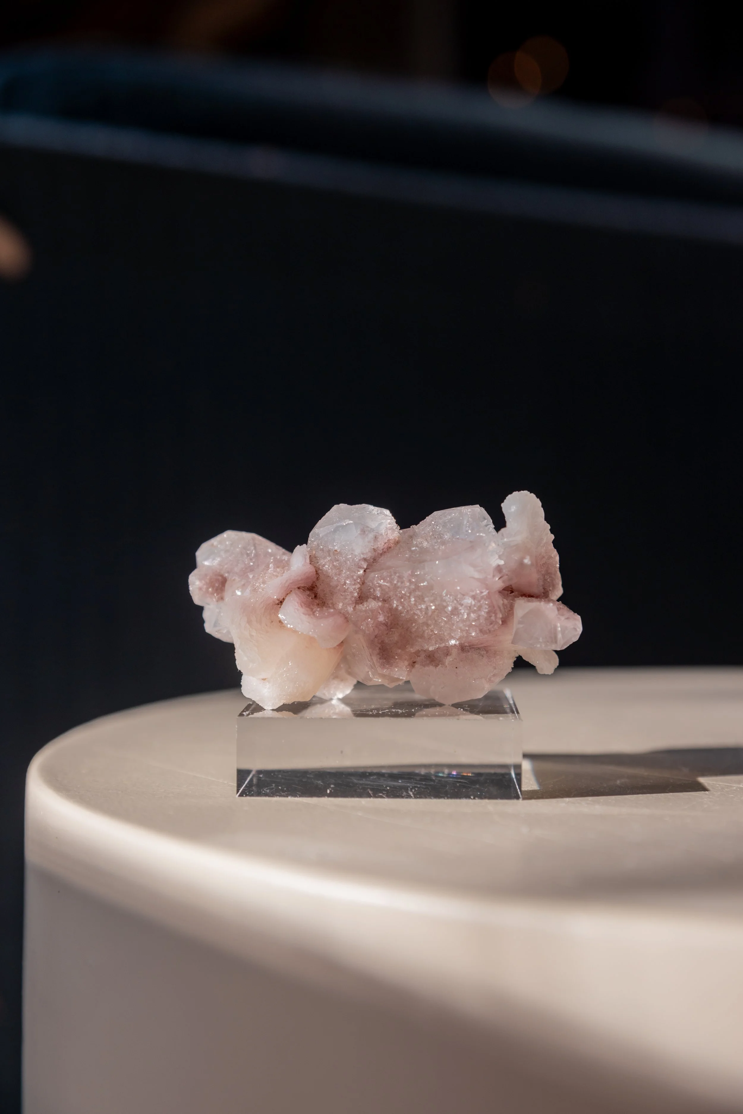 Heirloom Bloom, India