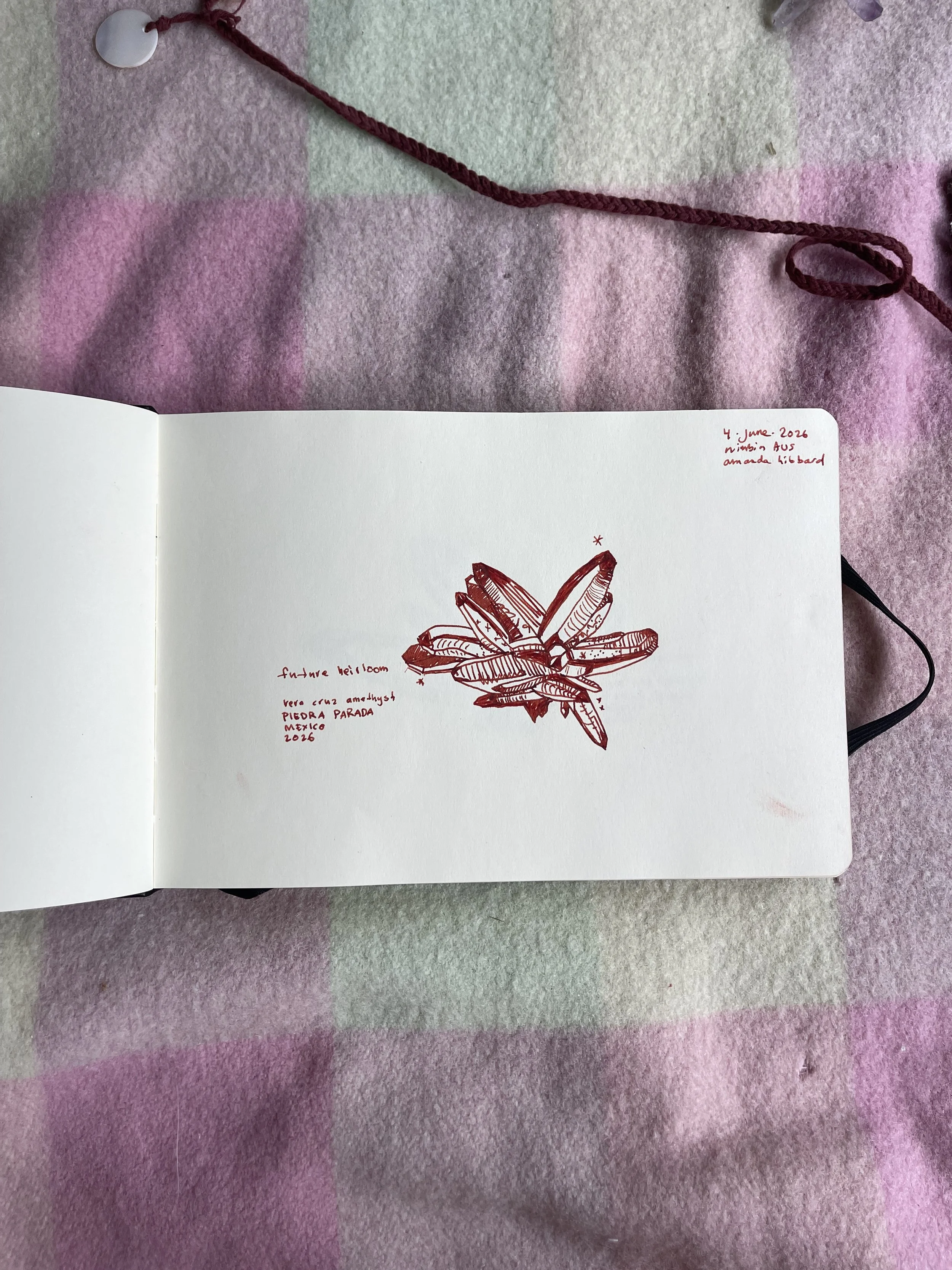 IMG_0319.jpeg