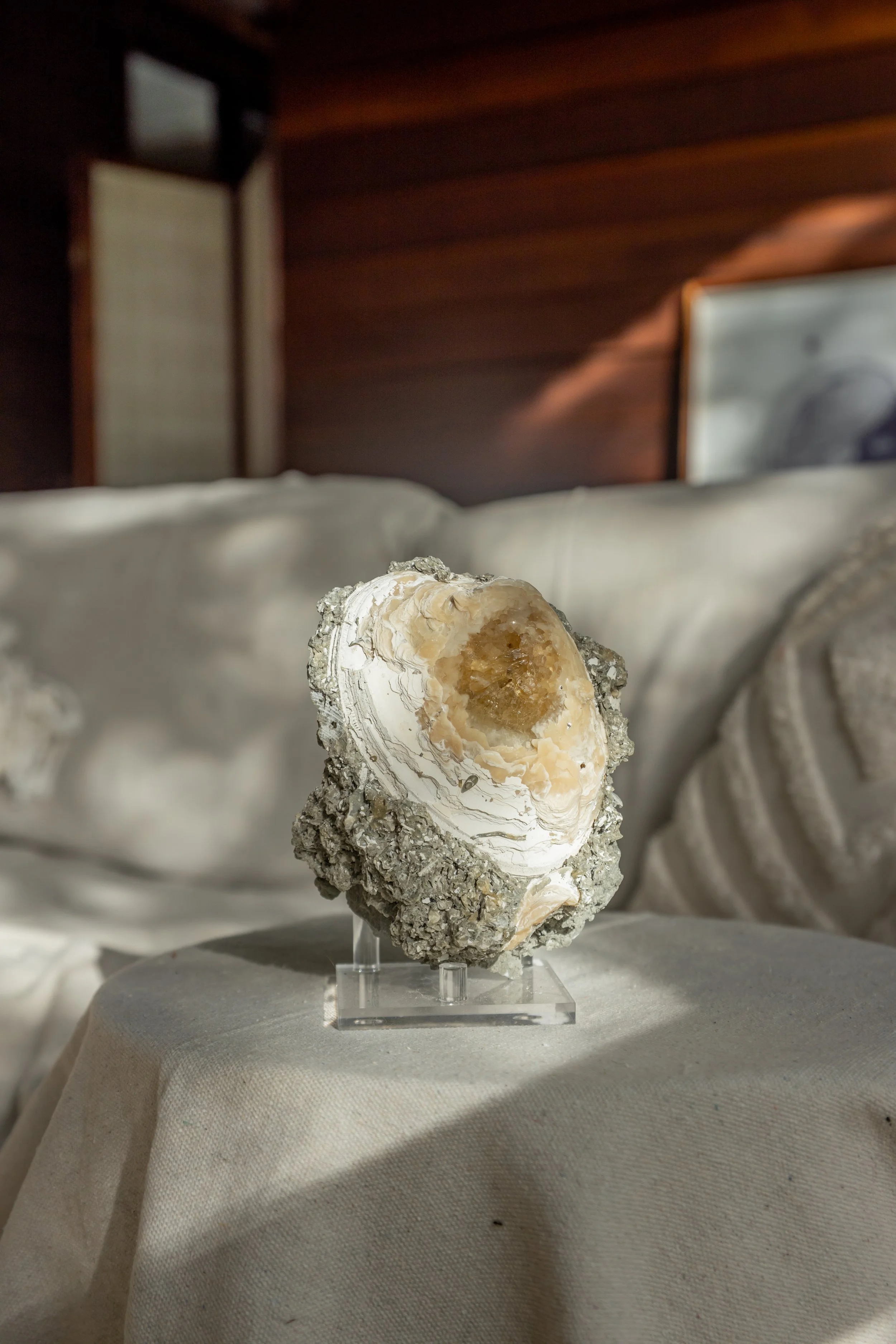 Fossilised Clam with Phospherescent Honey Calcite, Florida