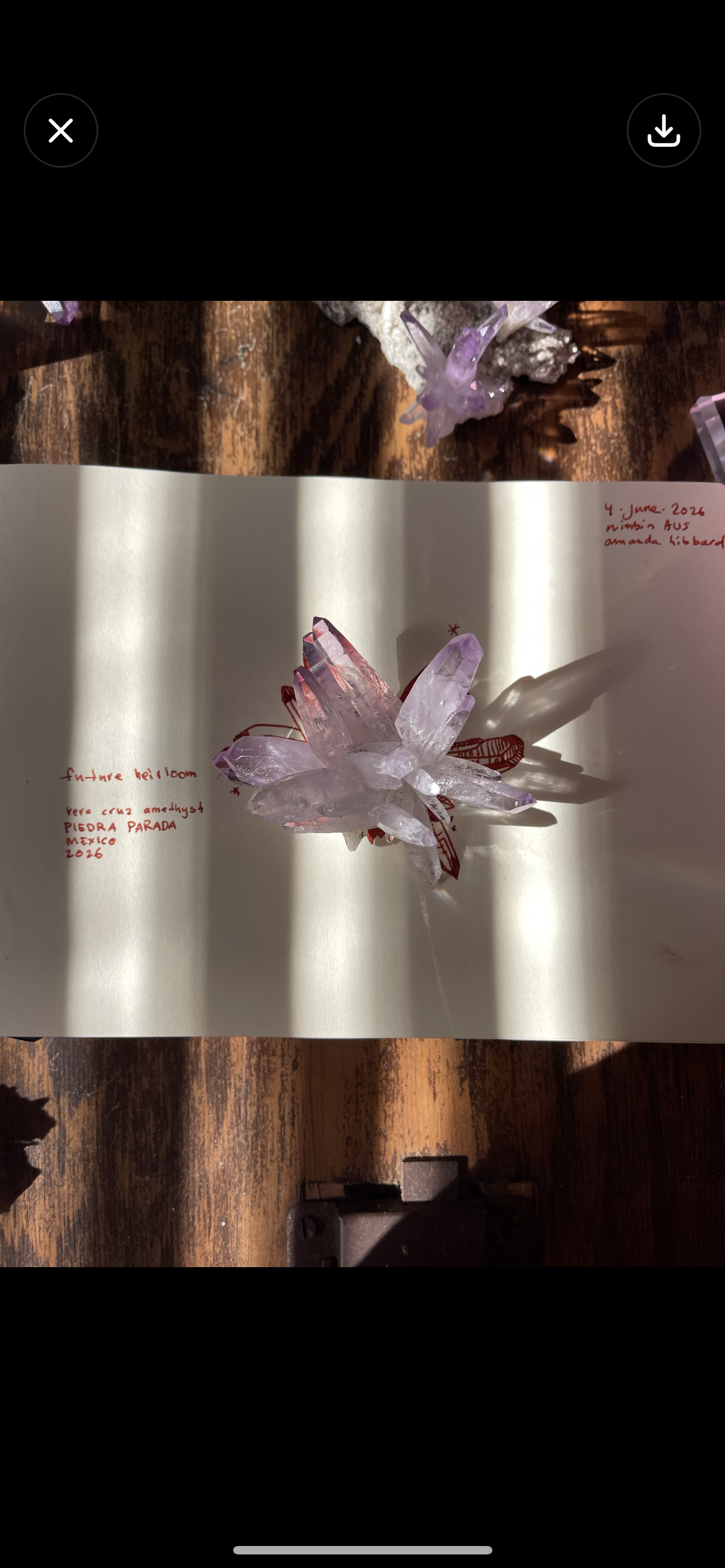IMG_0401.png