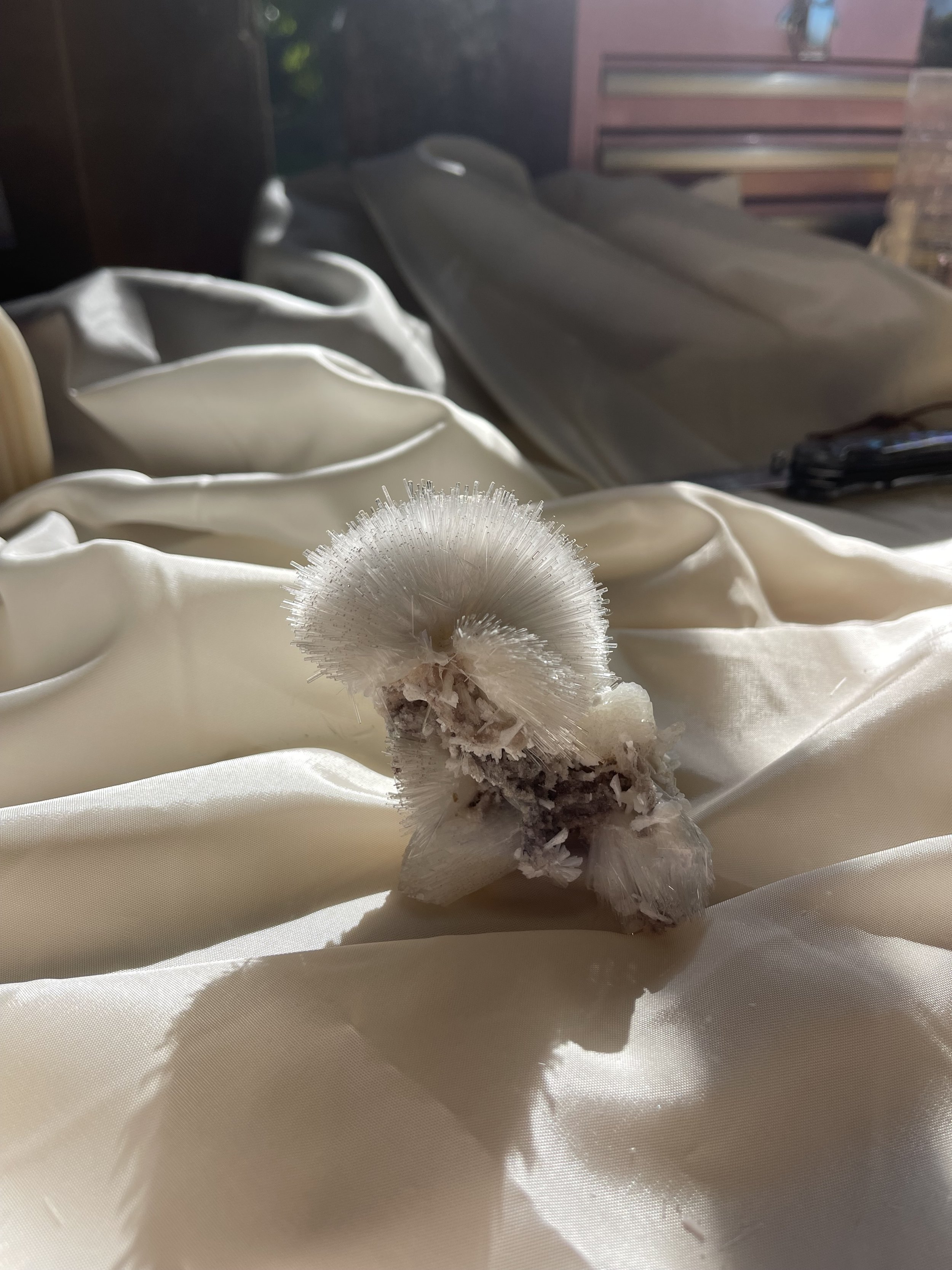 IMG_1162.jpeg
