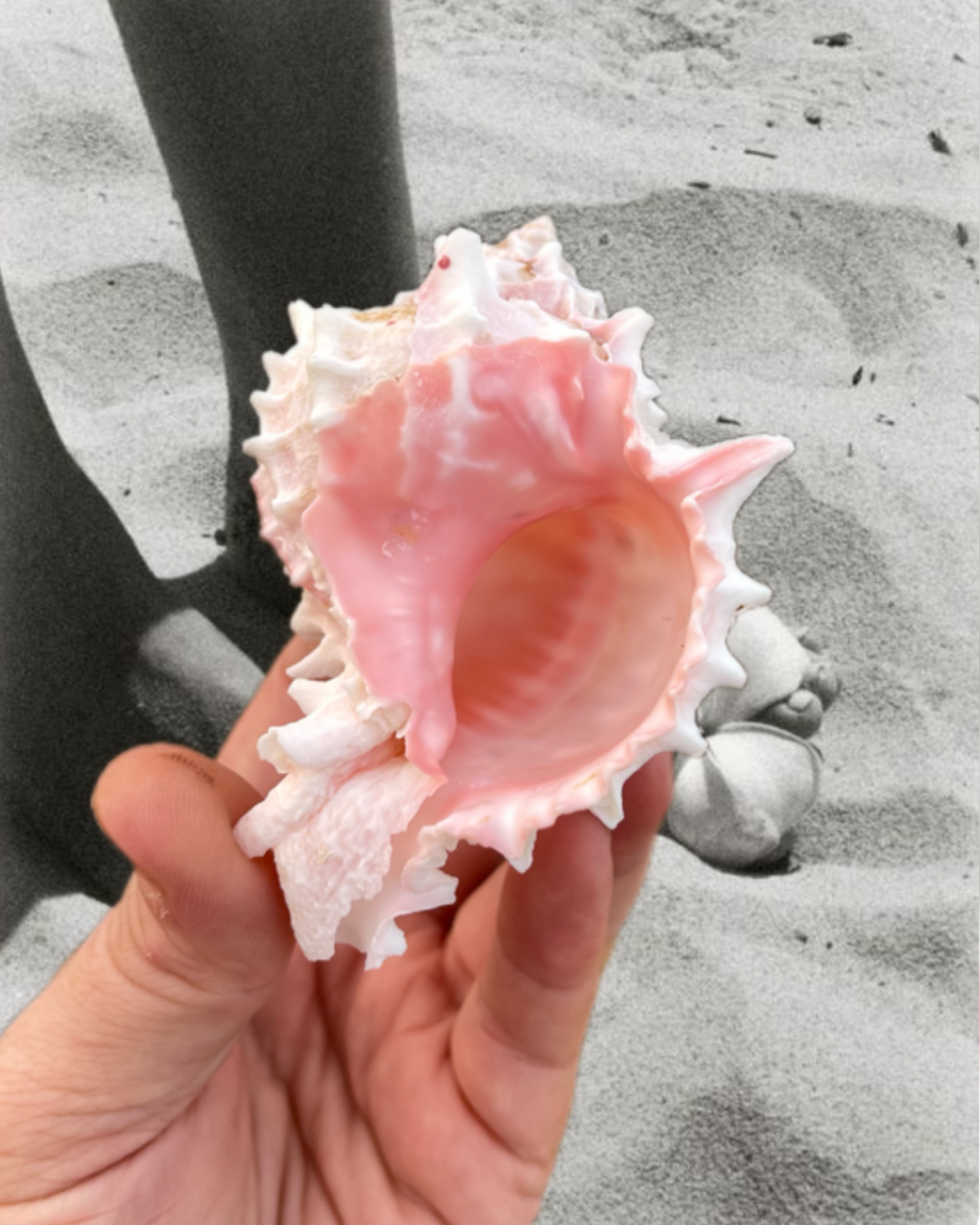 photo-output_2.png