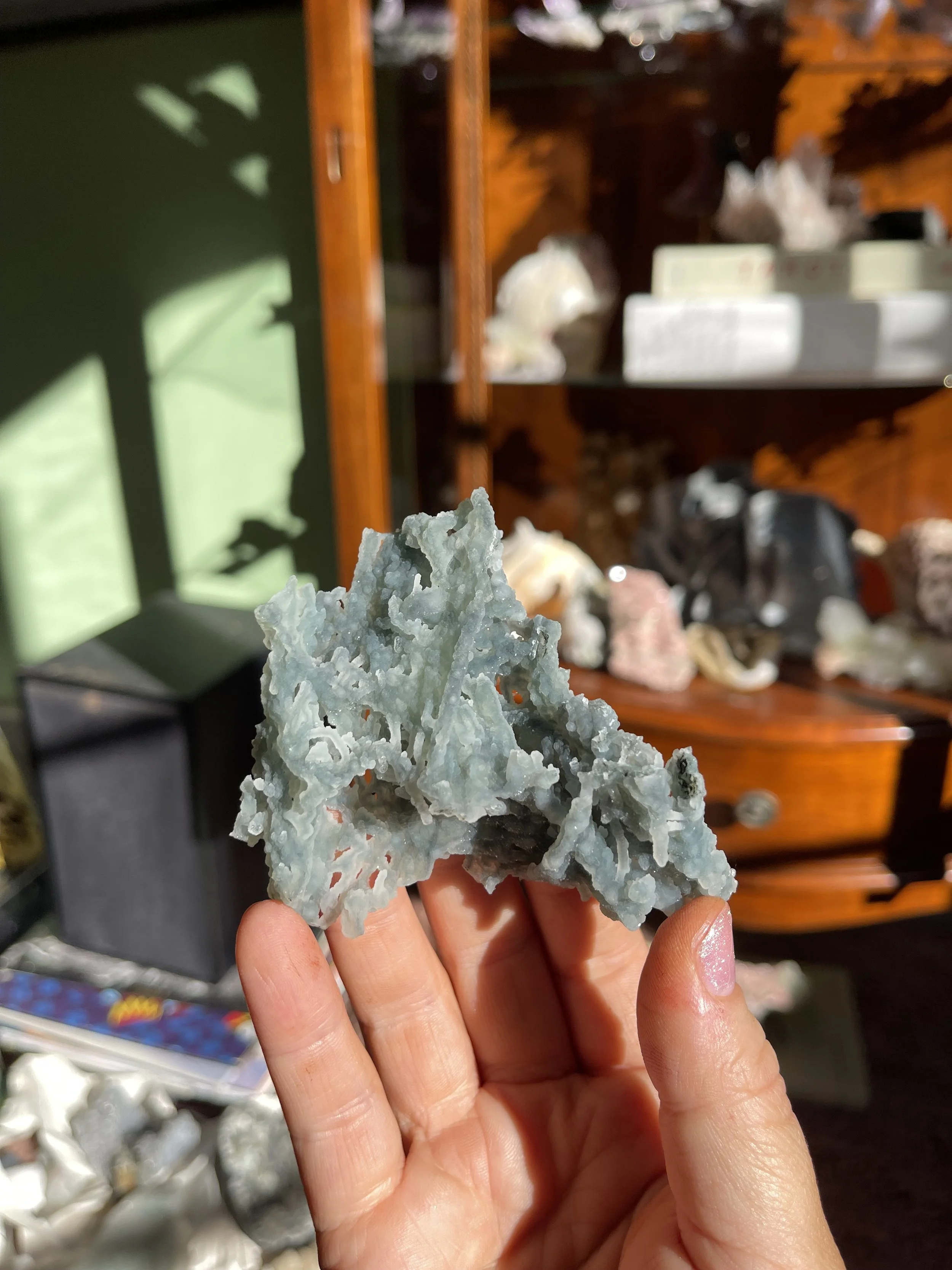 IMG_0068.jpeg