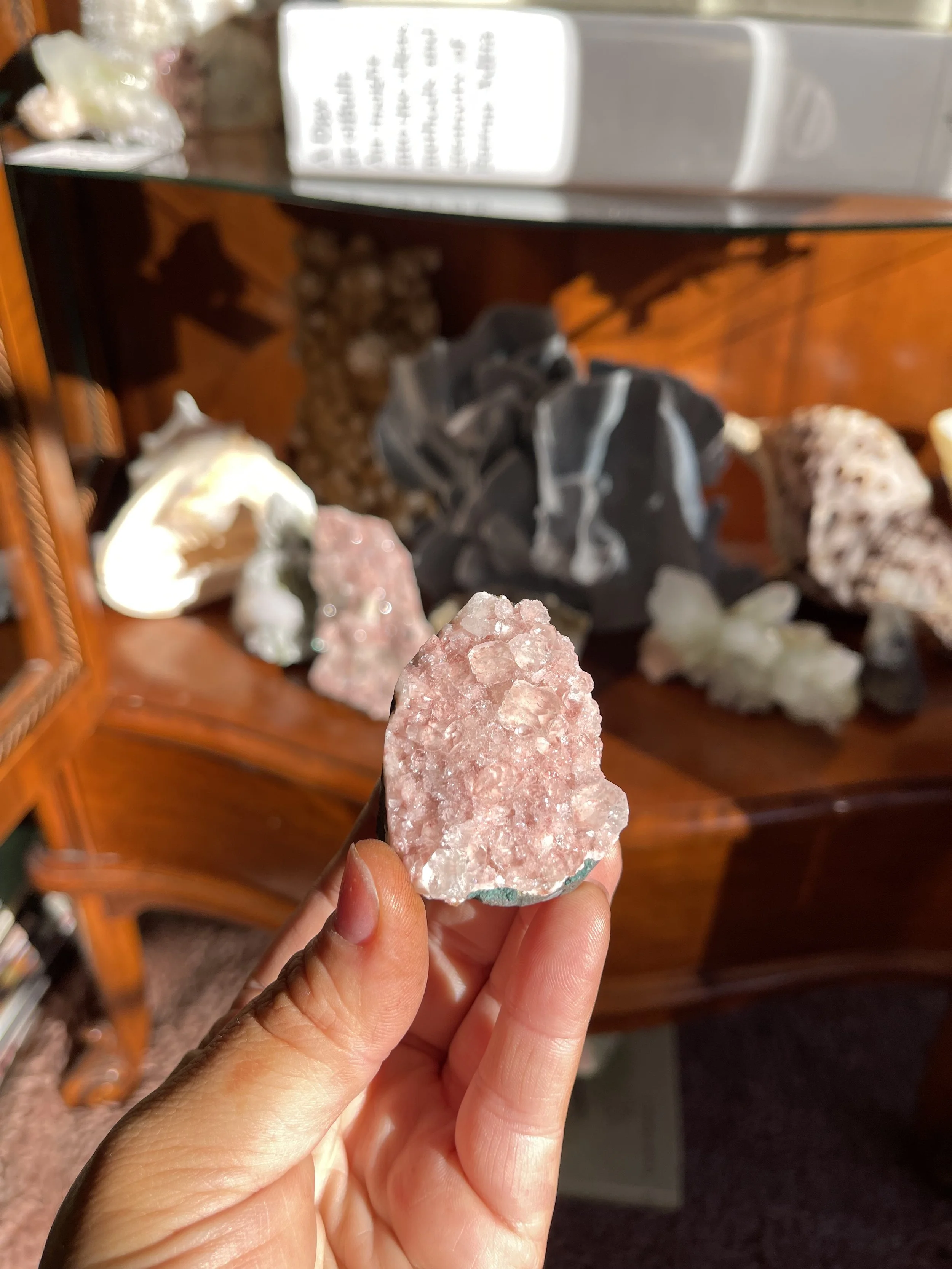 Flower Moon Rocks, India