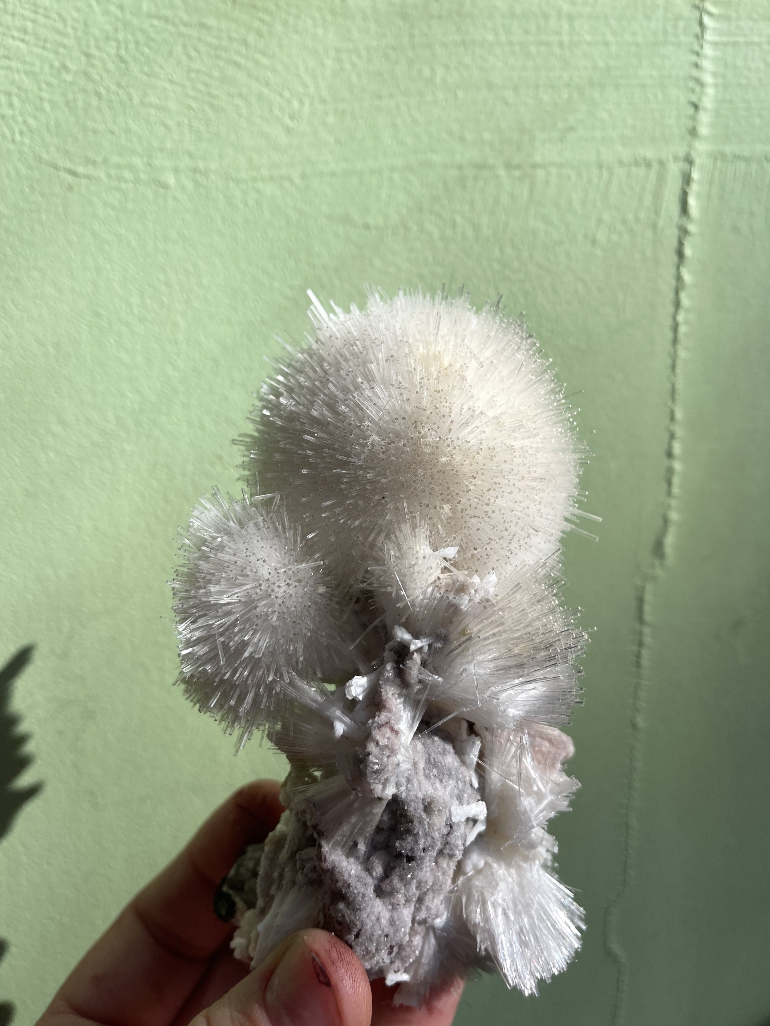 IMG_1155.jpeg
