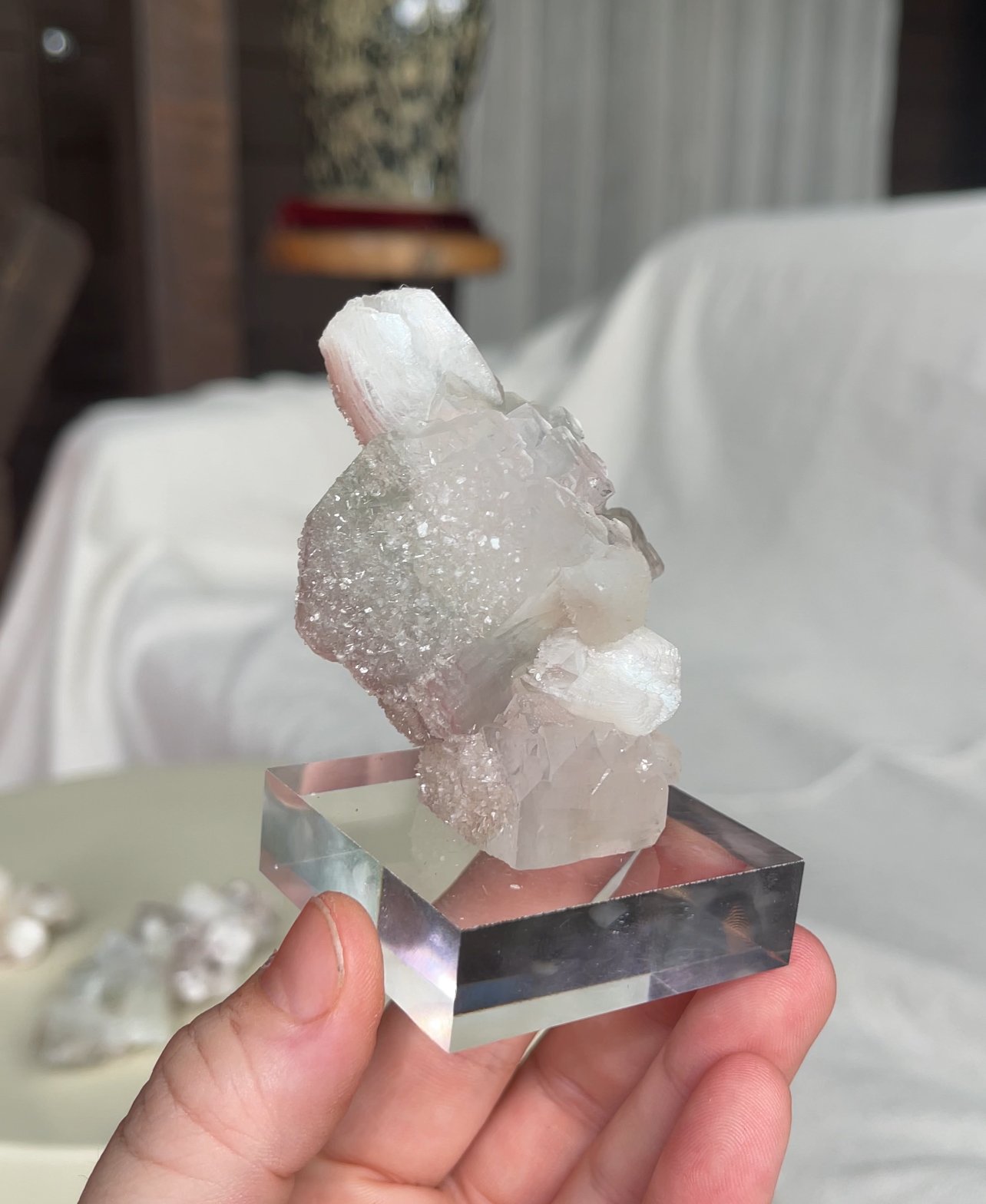 Heirloom Bloom, India