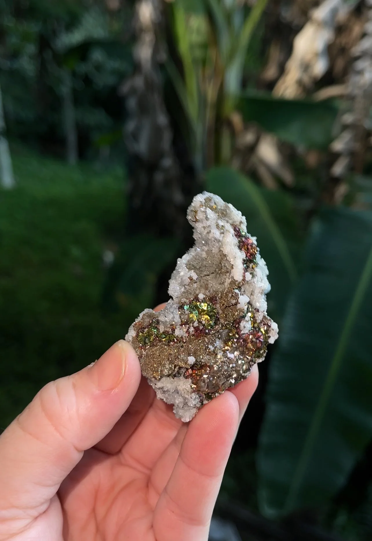 Rainbow Chalcopyrite & Quartz, Hubei, China