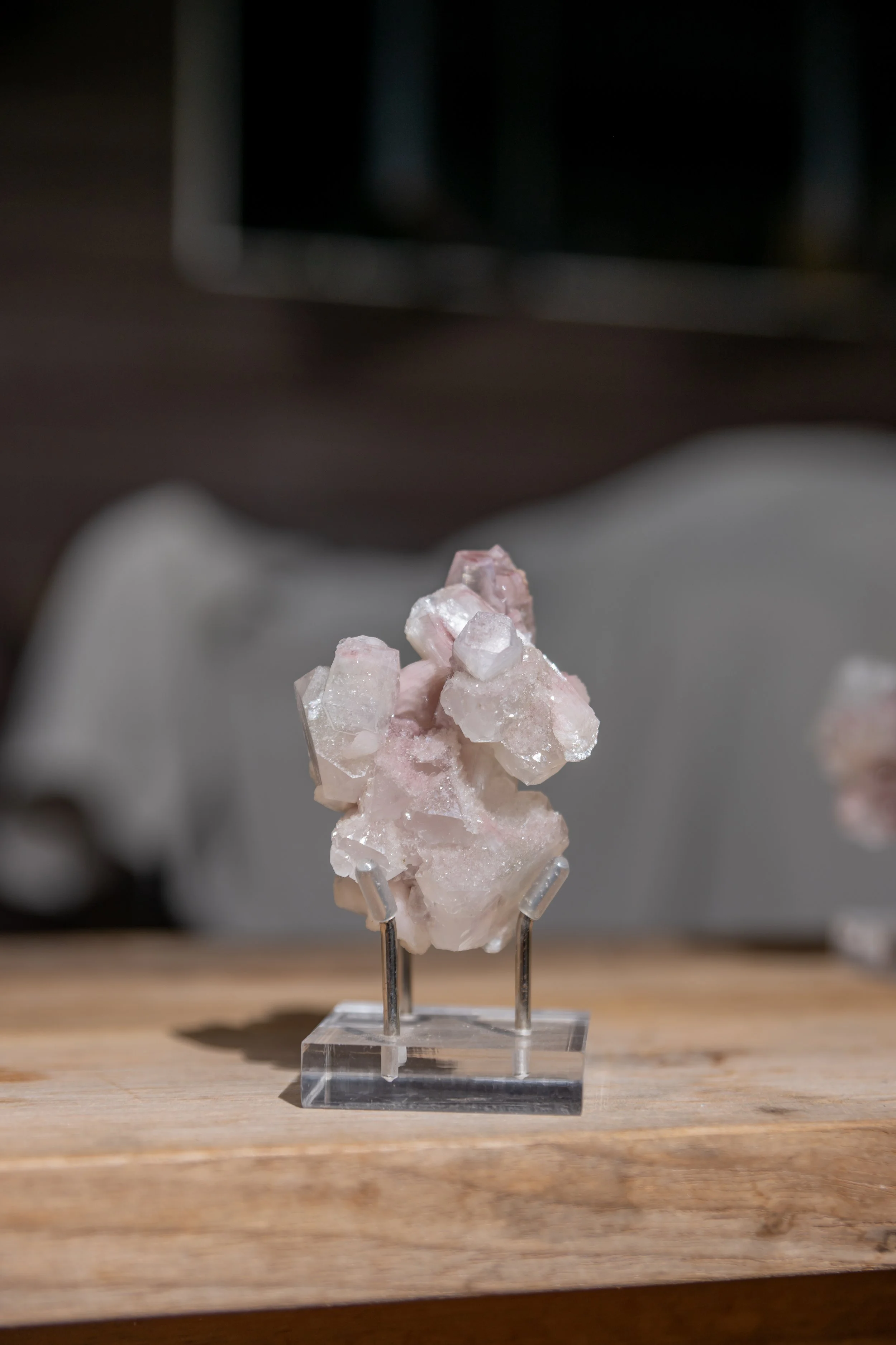 Heirloom Bloom, India