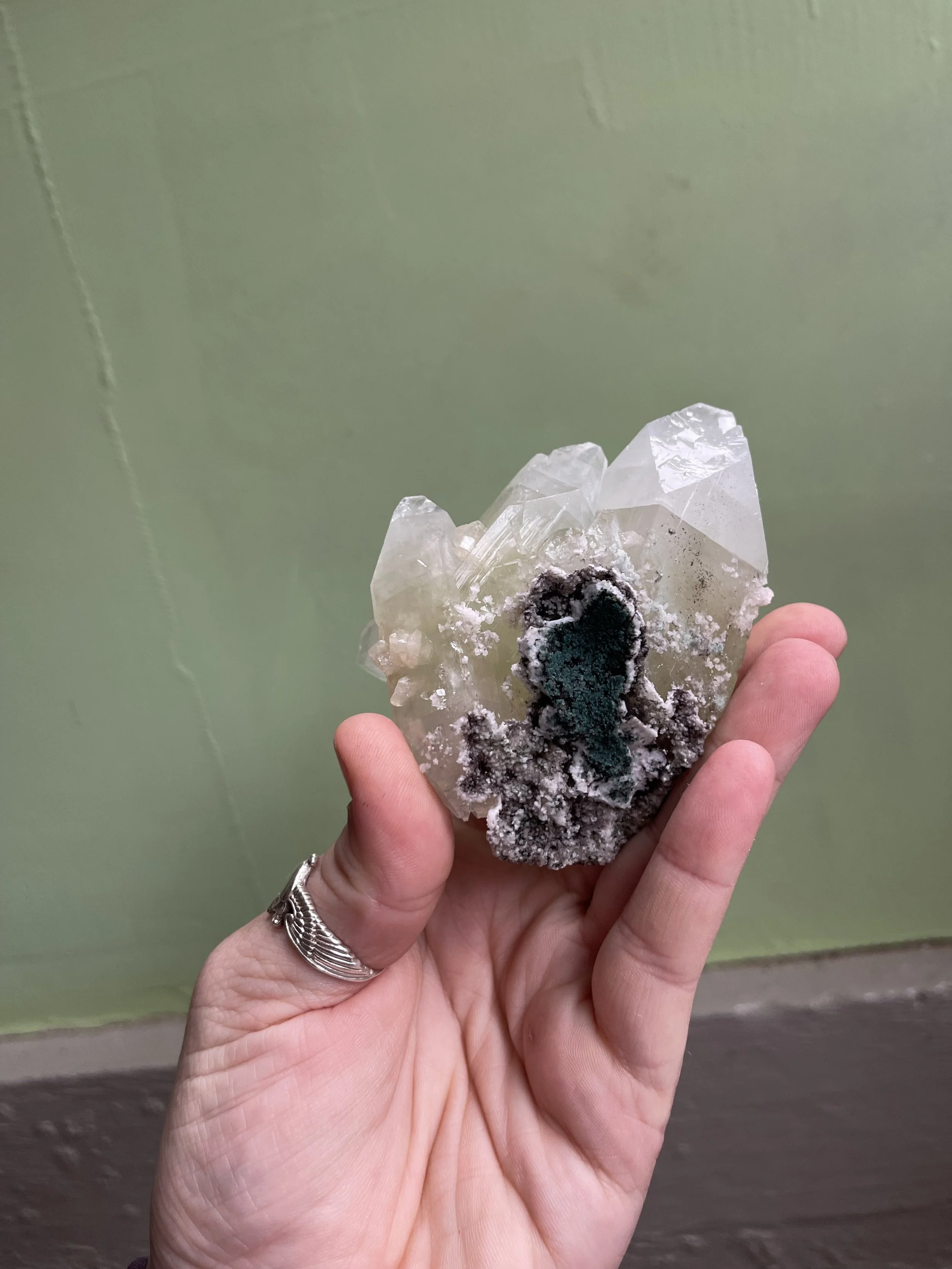IMG_9010.jpeg