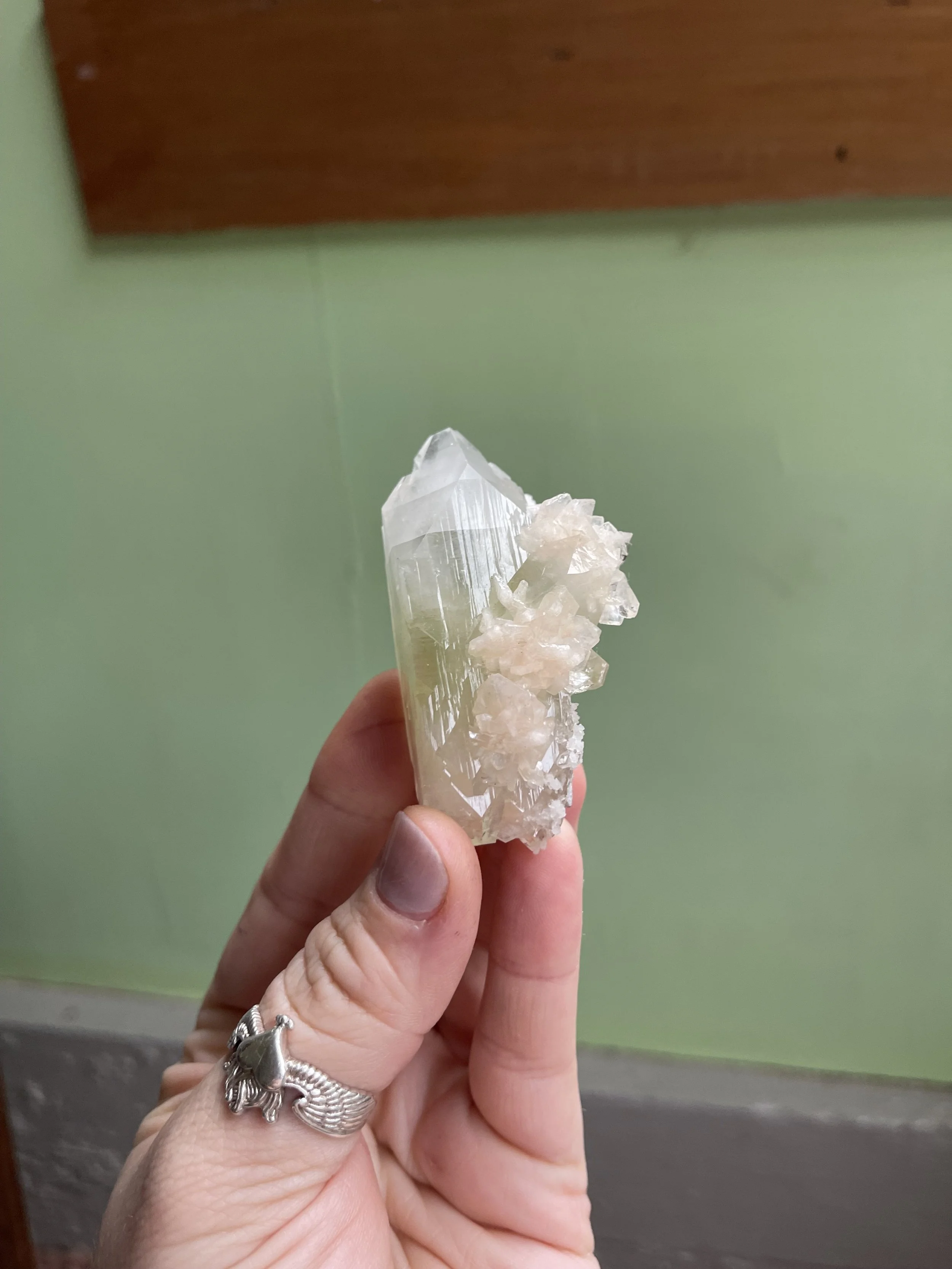 IMG_9015.jpeg