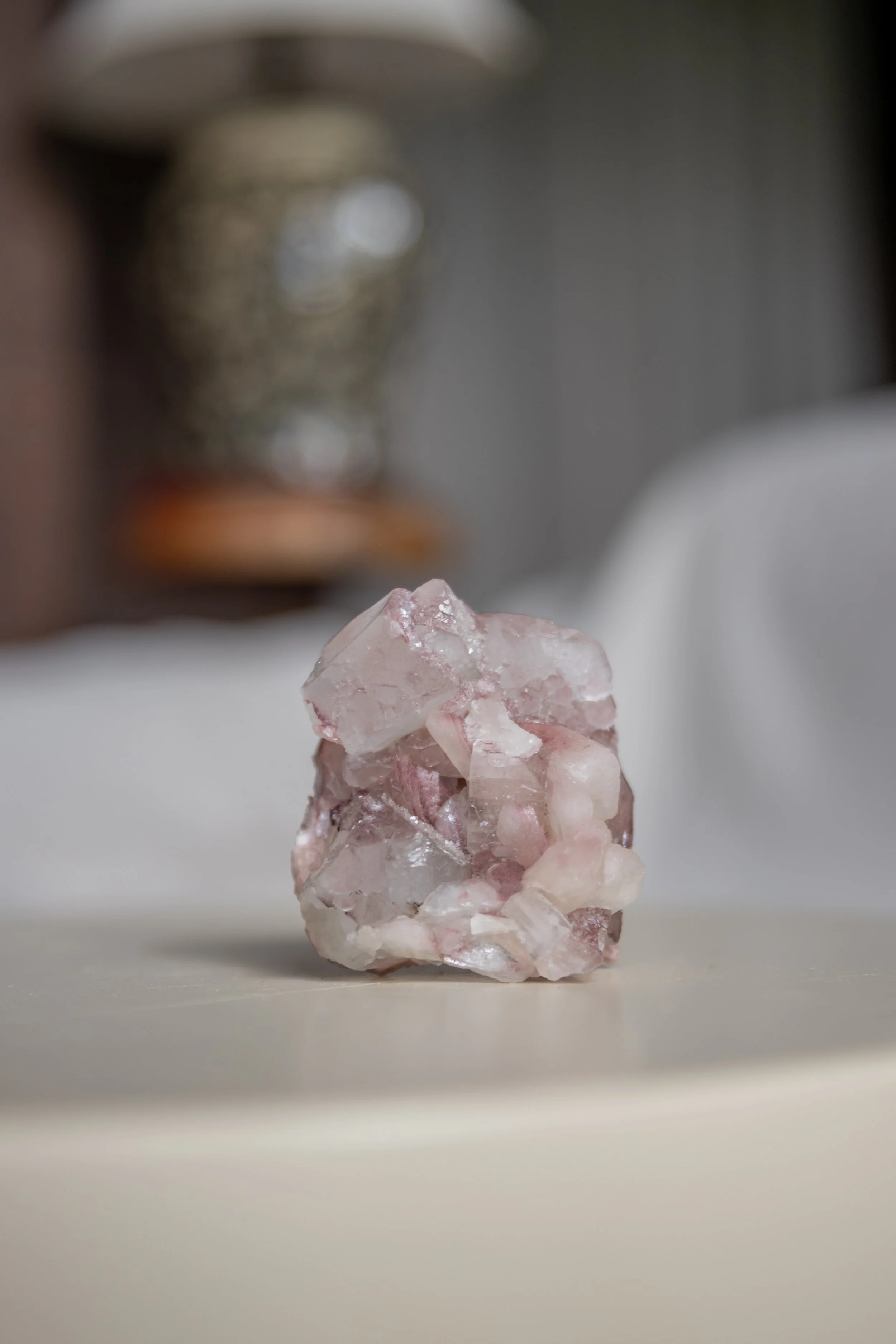 Heirloom Bloom, India