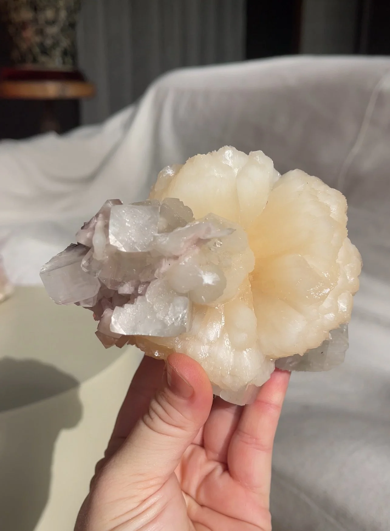 Heirloom Bloom, India