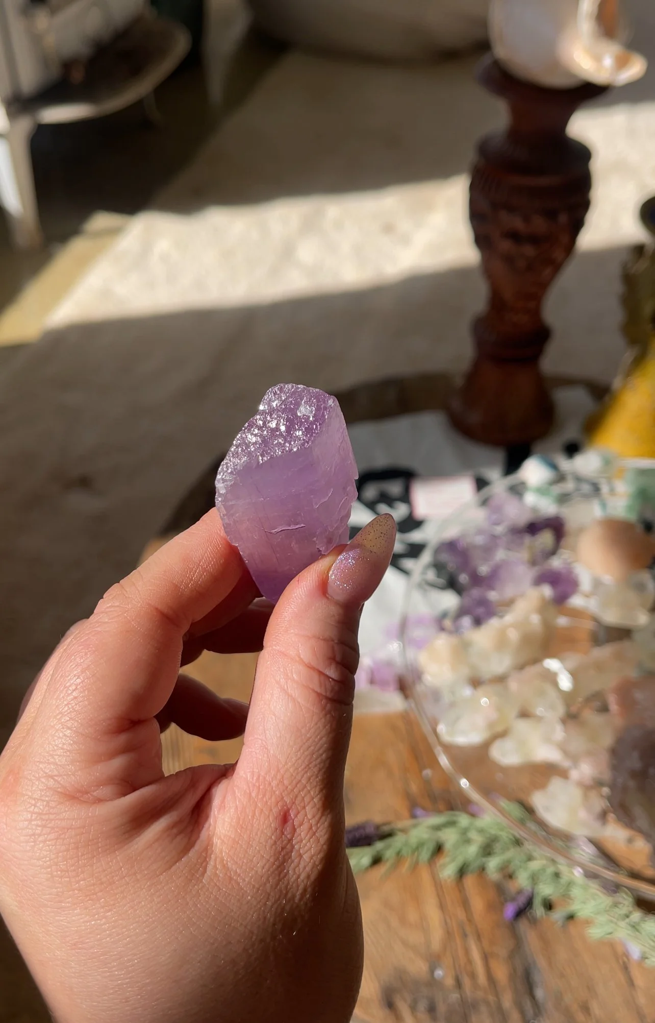 IMG_7840.jpeg