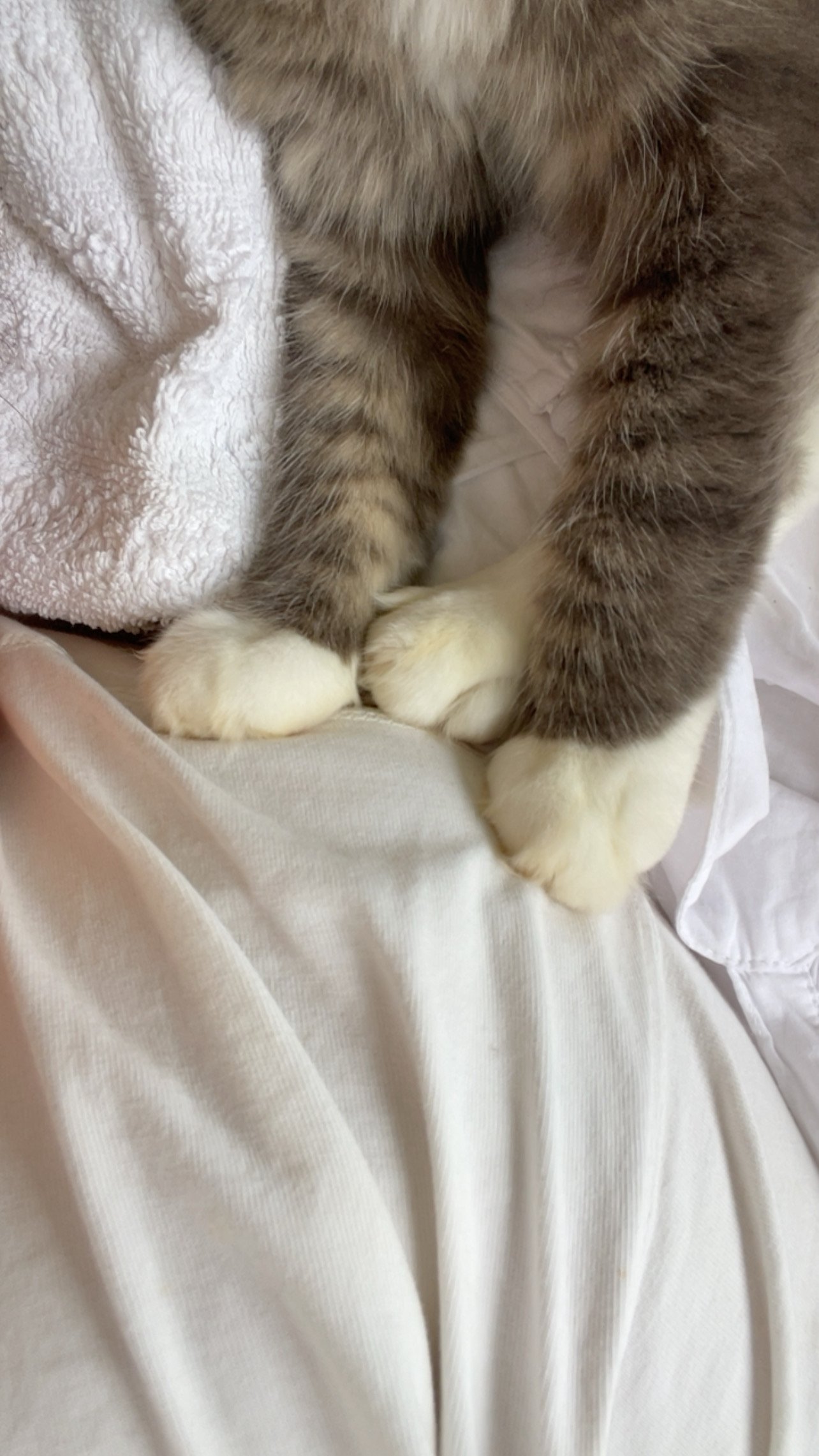 71124D34-01F8-4472-9704-262BB241D015.jpeg