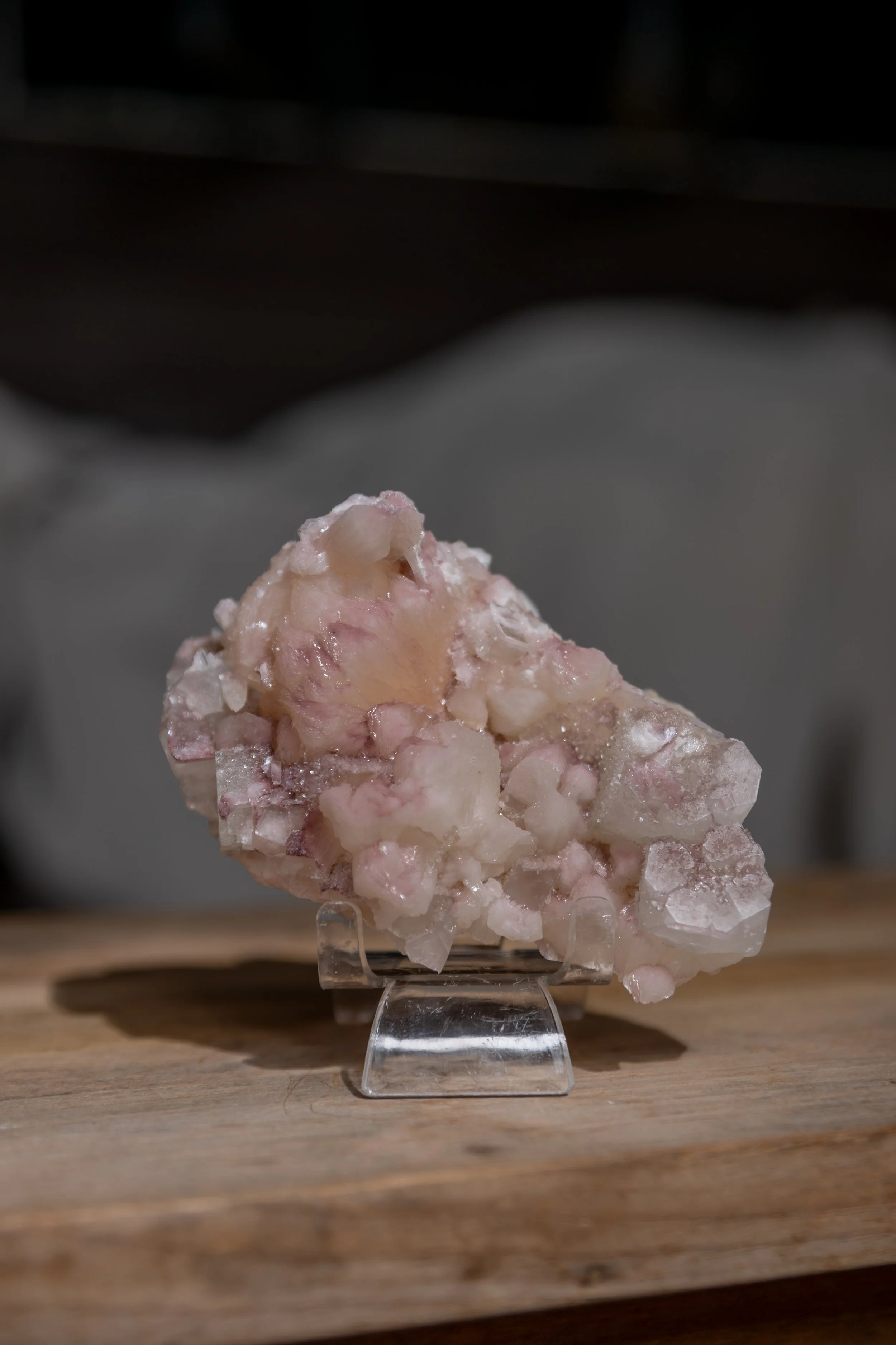 Heirloom Bloom, India