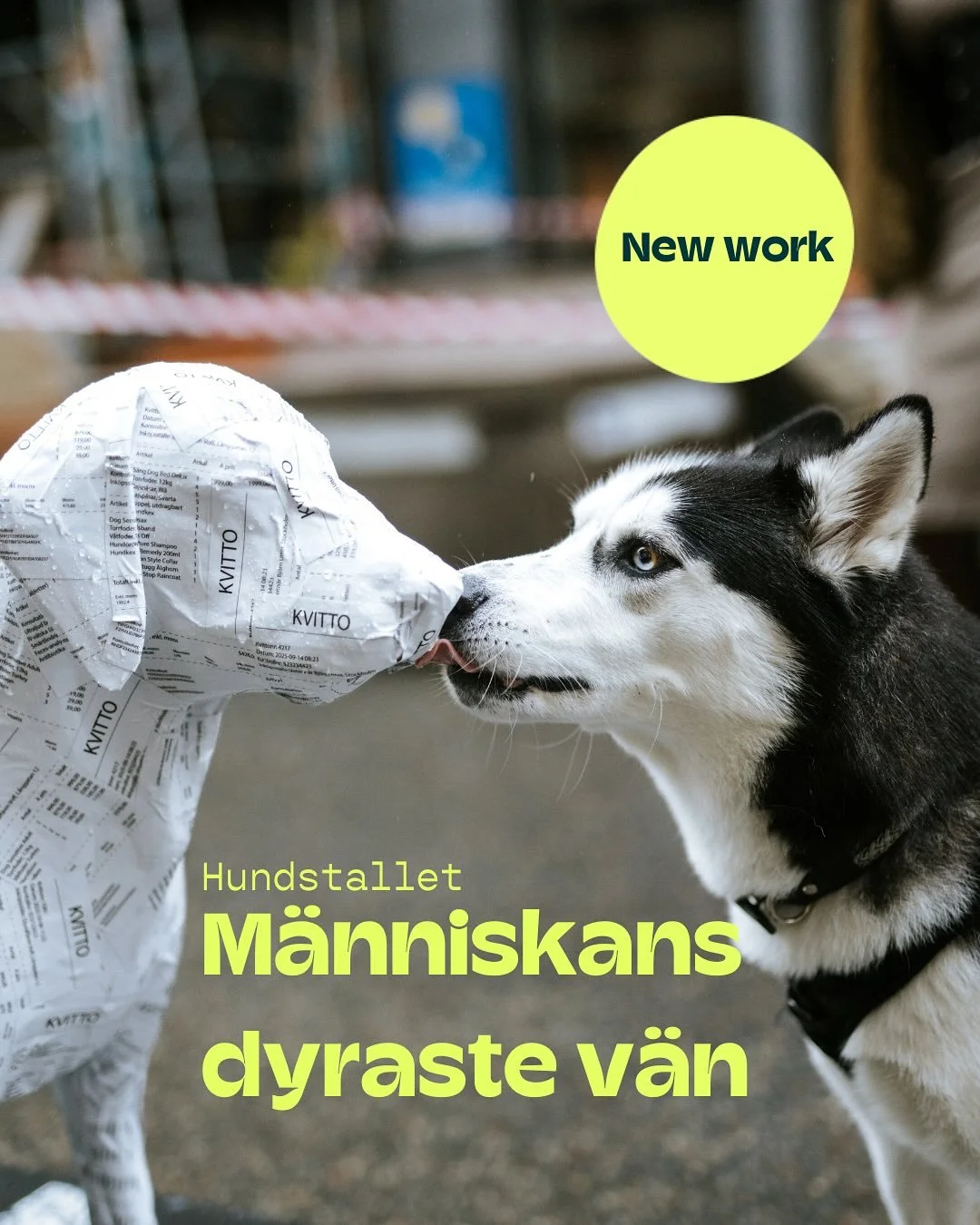 Att ha en hund kan snabbt bli en kostsam historia. Tillsammans med @hundstallet har vi skapat kampanjen M&auml;nniskans dyraste v&auml;n f&ouml;r att lyfta just det &ndash; och f&ouml;r att &ouml;ppna upp f&ouml;r viktiga samtal. Tack till Hundstalle