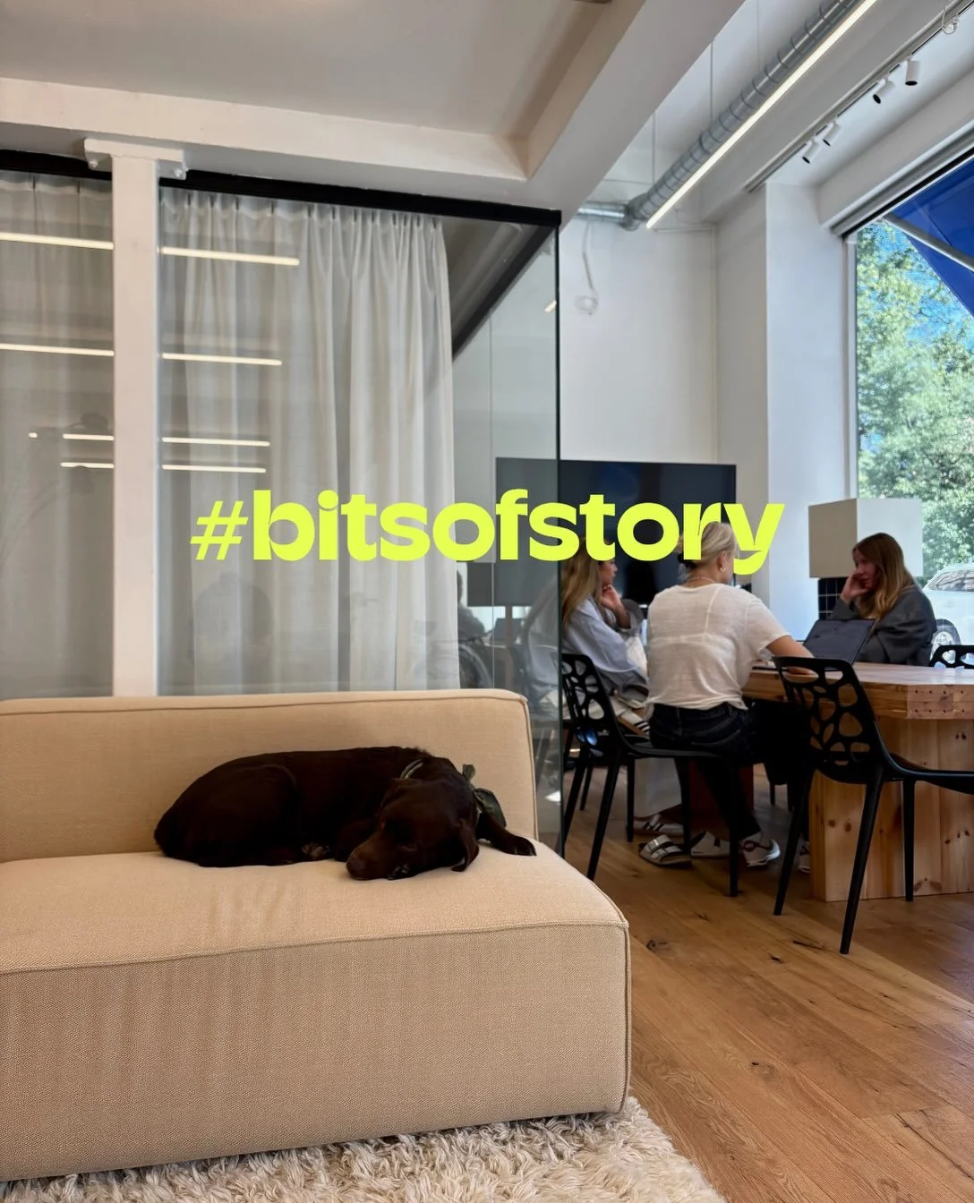 Sensommaren har bjudit p&aring; lite av varje:

1. V&aring;r mood manager k&auml;nner sig som hemma p&aring; nya kontoret 🐾
2. BTS fr&aring;n &aring;rets B&auml;ra n&auml;ra-promenad med @babybjorn till f&ouml;rm&aring;n f&ouml;r @svenskamedbaby
3. 