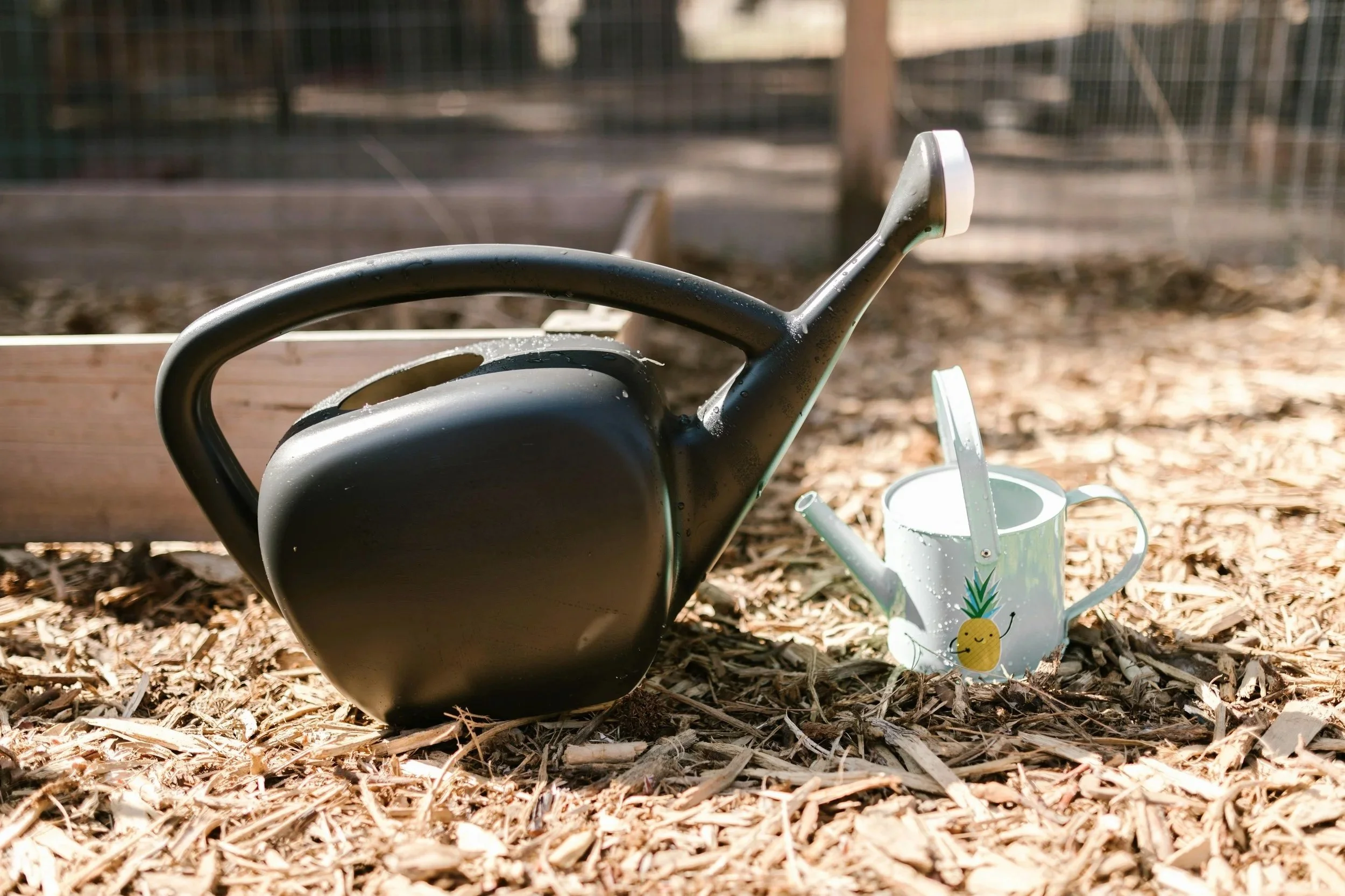 Ground.Ed kids - 5 Week Sensory Garden Program