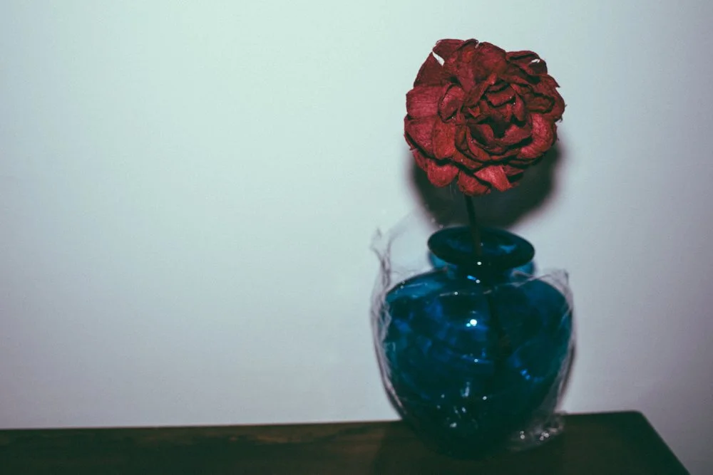 Room 407 Red Rose | C-type Print 