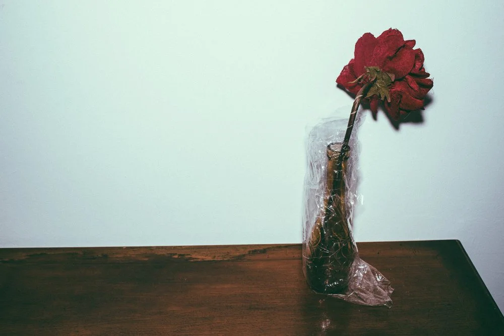 Room 407 Shy  | C-type Print 