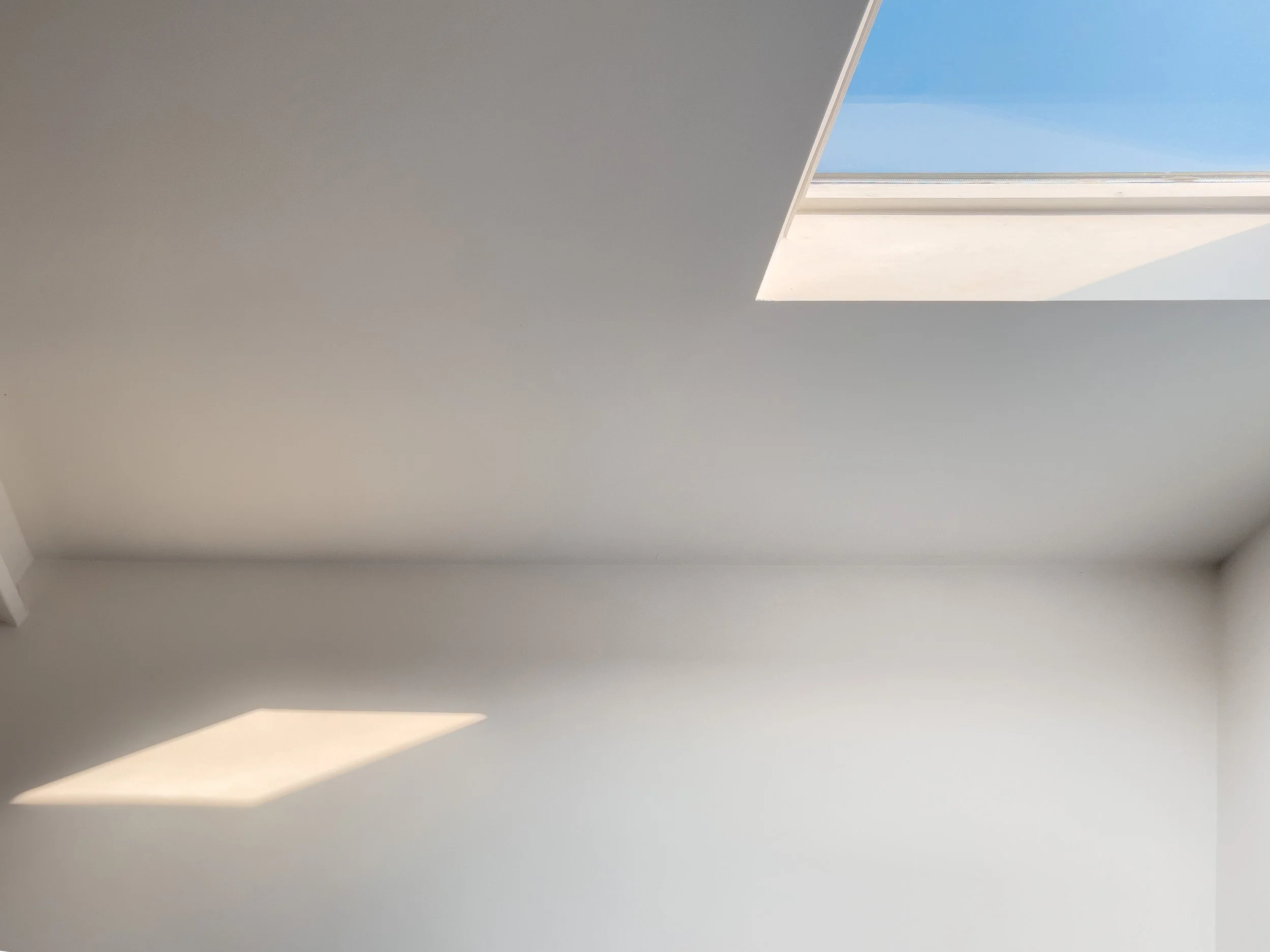 the-blowup-Y52CeemHMO8-unsplash.jpeg