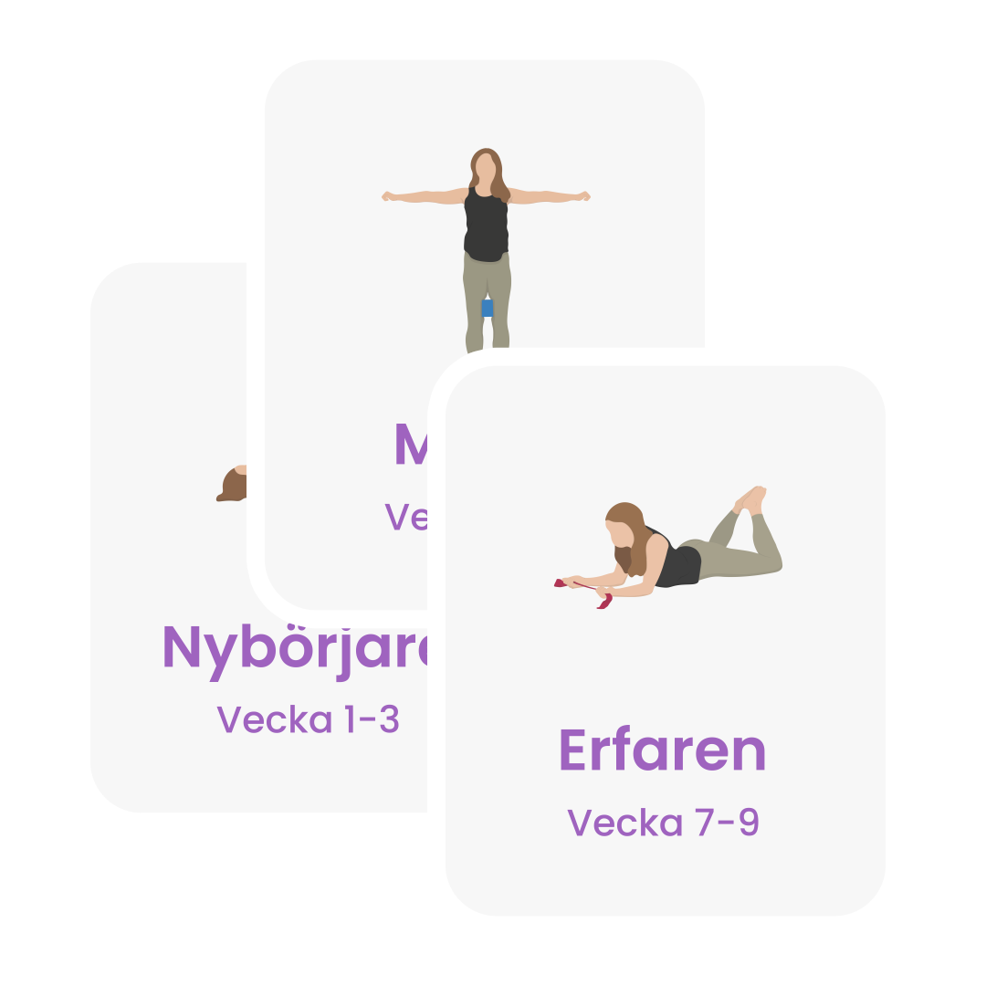 Tre block som visar de tre delarna av träningsplanen. De har titlarna "Nybörjare," "Medel," och "Erfaren."