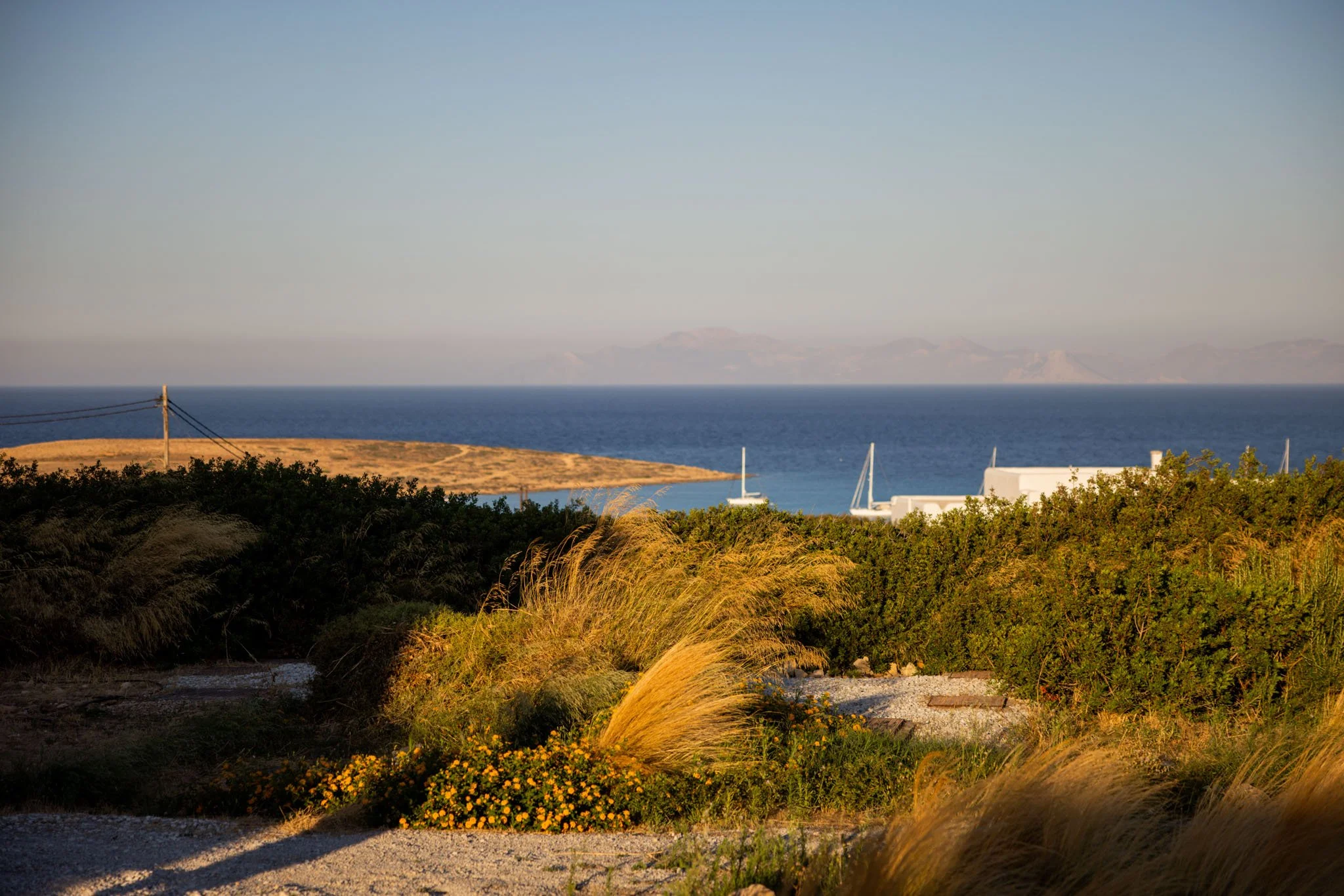 Selena Garefino Sanctuary Greece - Classes & Day to Day 2025 Selects - web-92.jpg