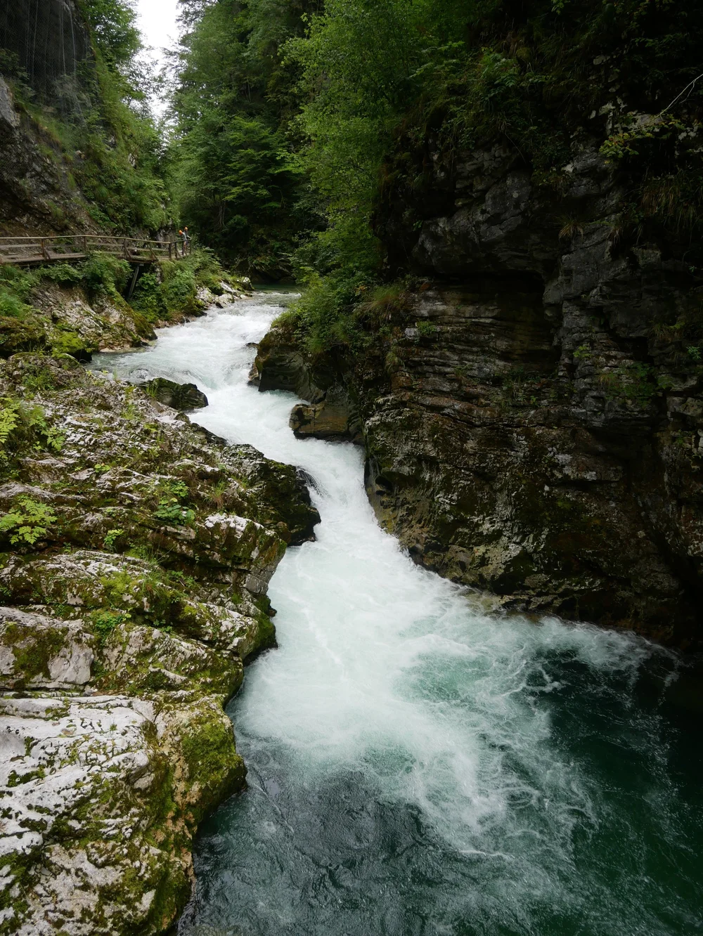 Bled-Vintgar Gorge2.jpg