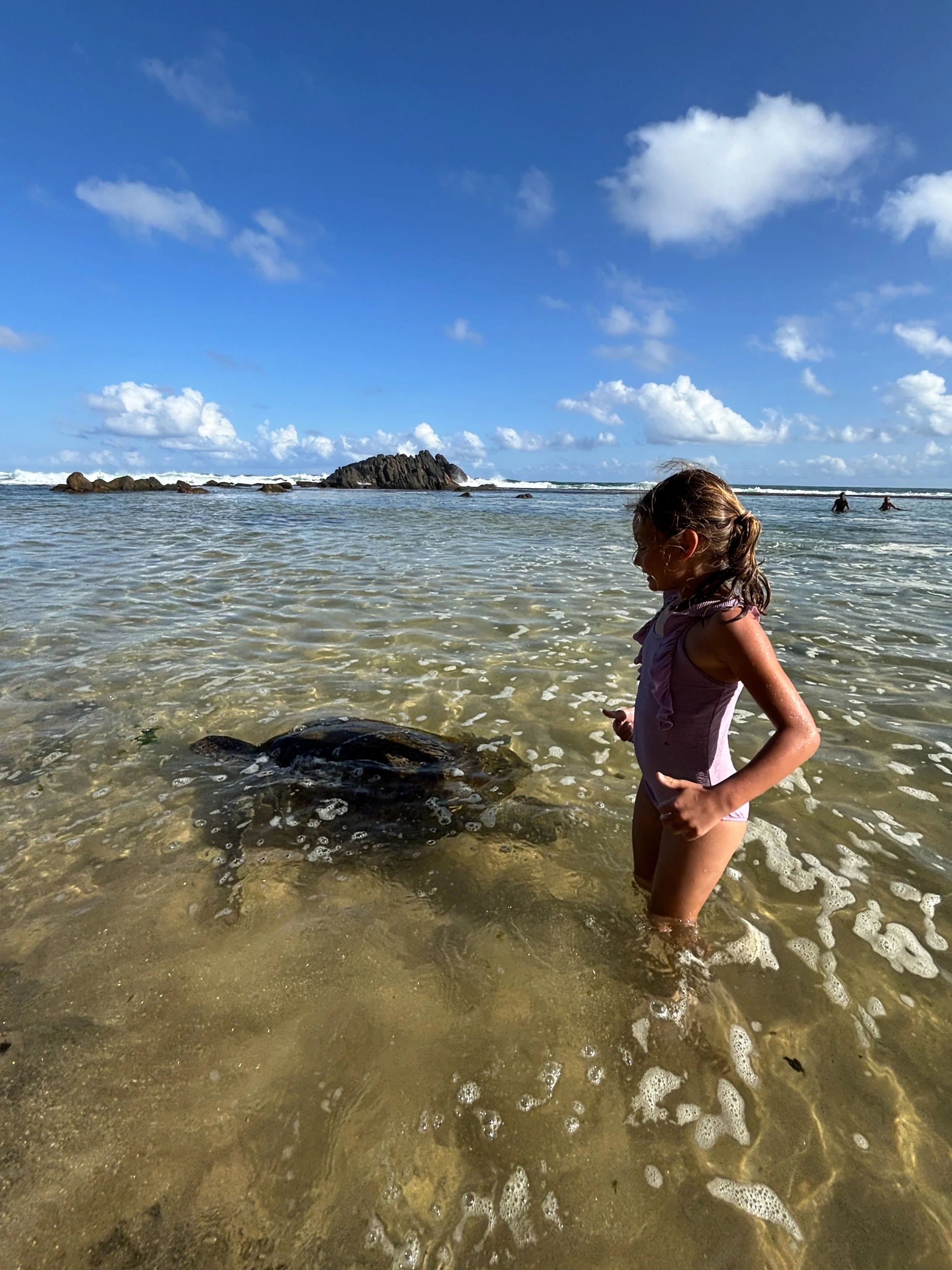 Turtle Beach, waar zeeschildpadden zwemmen nabij de kust van Sri Lanka