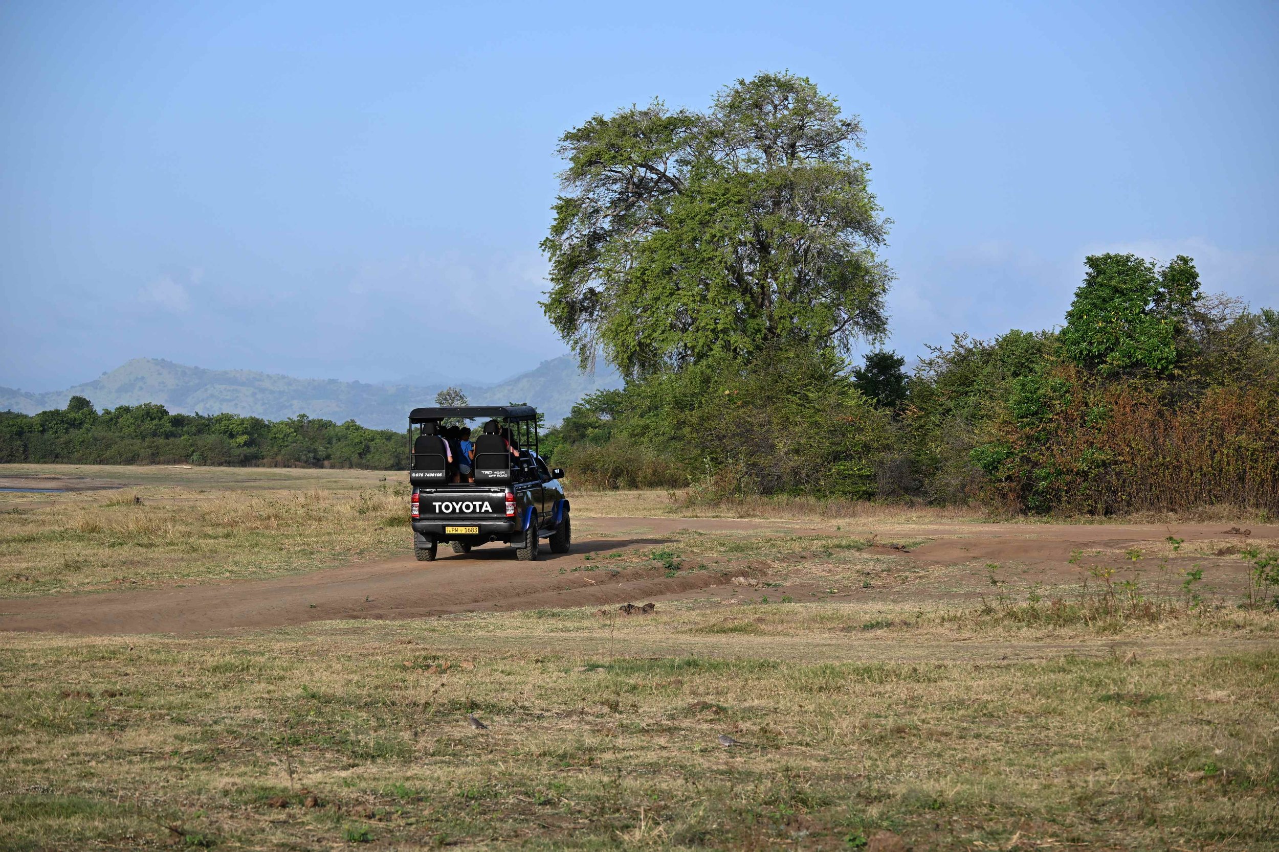 Safari per jeep door het Udawalawe National Park, Sri Lanka