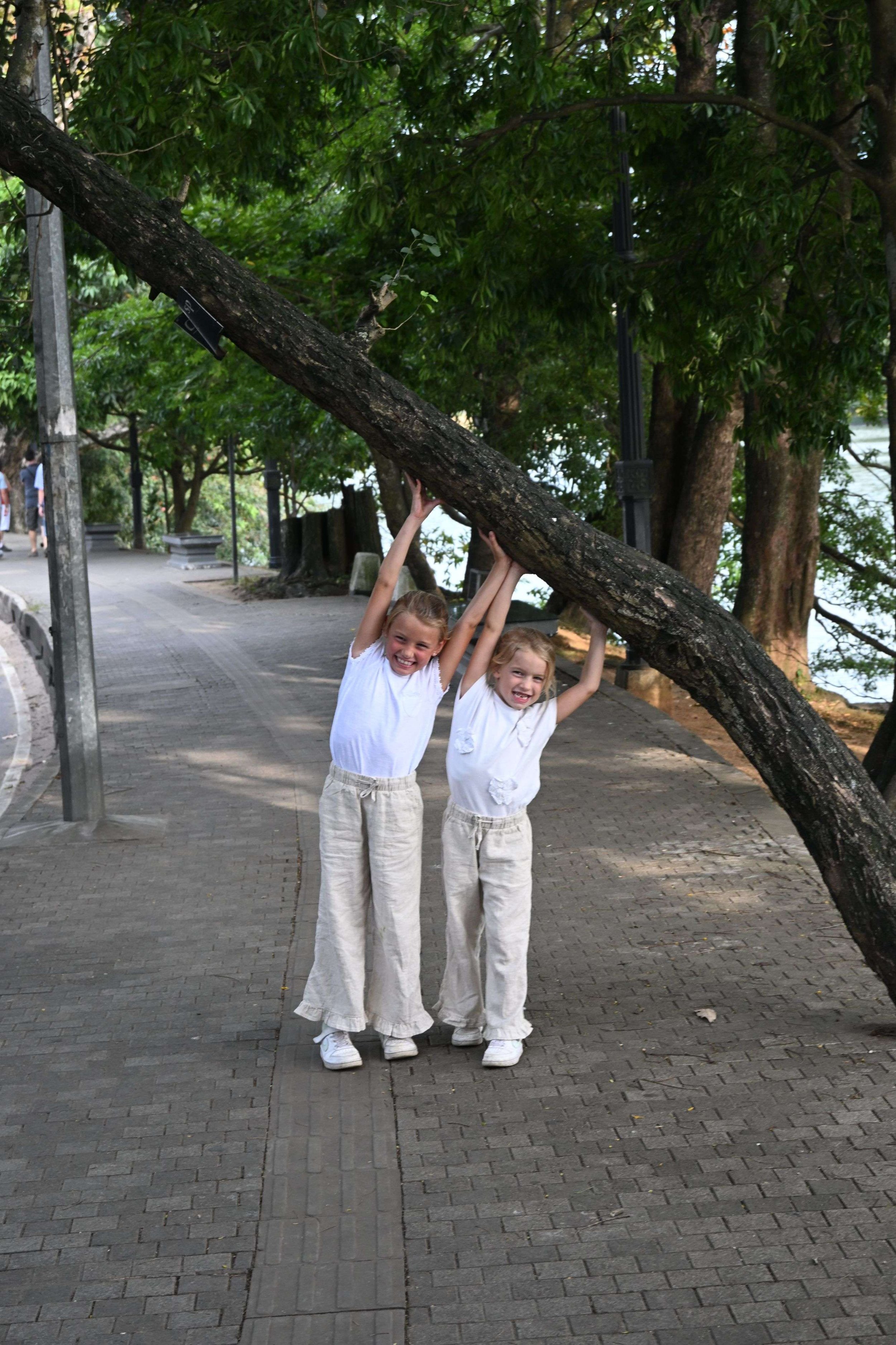 Het meer van Kandy (Kandy Lake), Sri Lanka