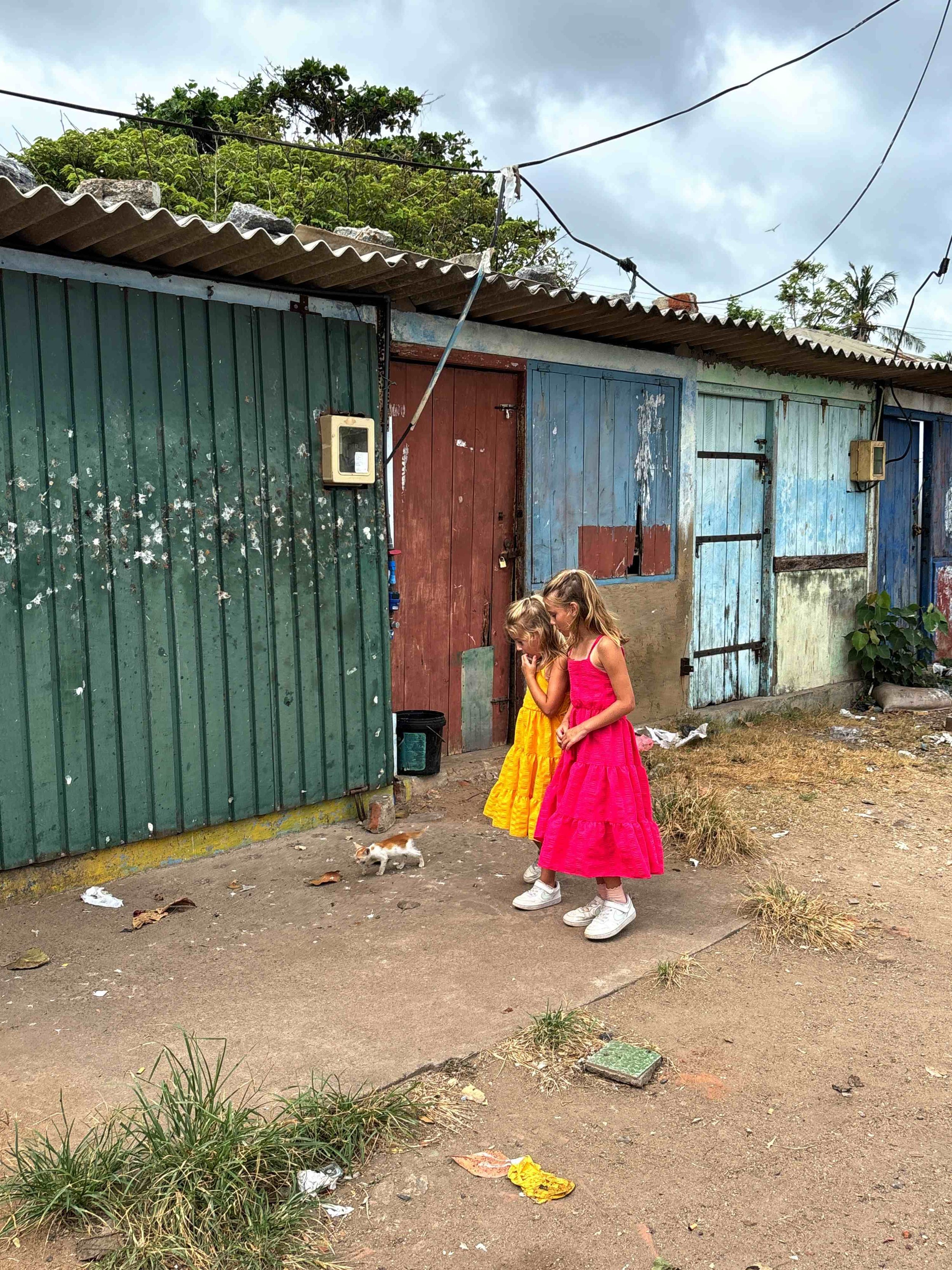Kat gespot tijdens een wandeling door Negombo, Sri Lanka