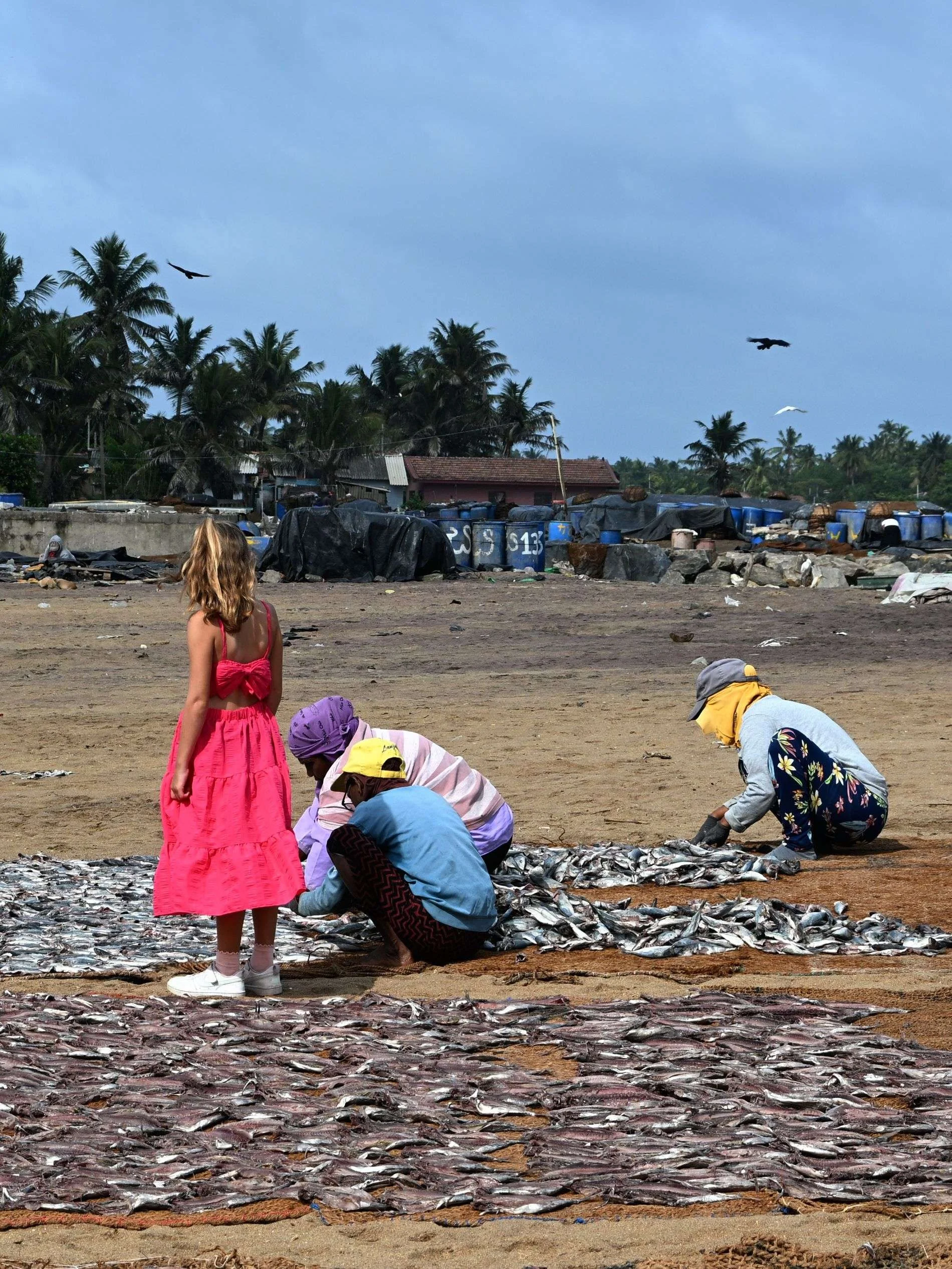 De vismarkt van Negombo, Sri Lanka